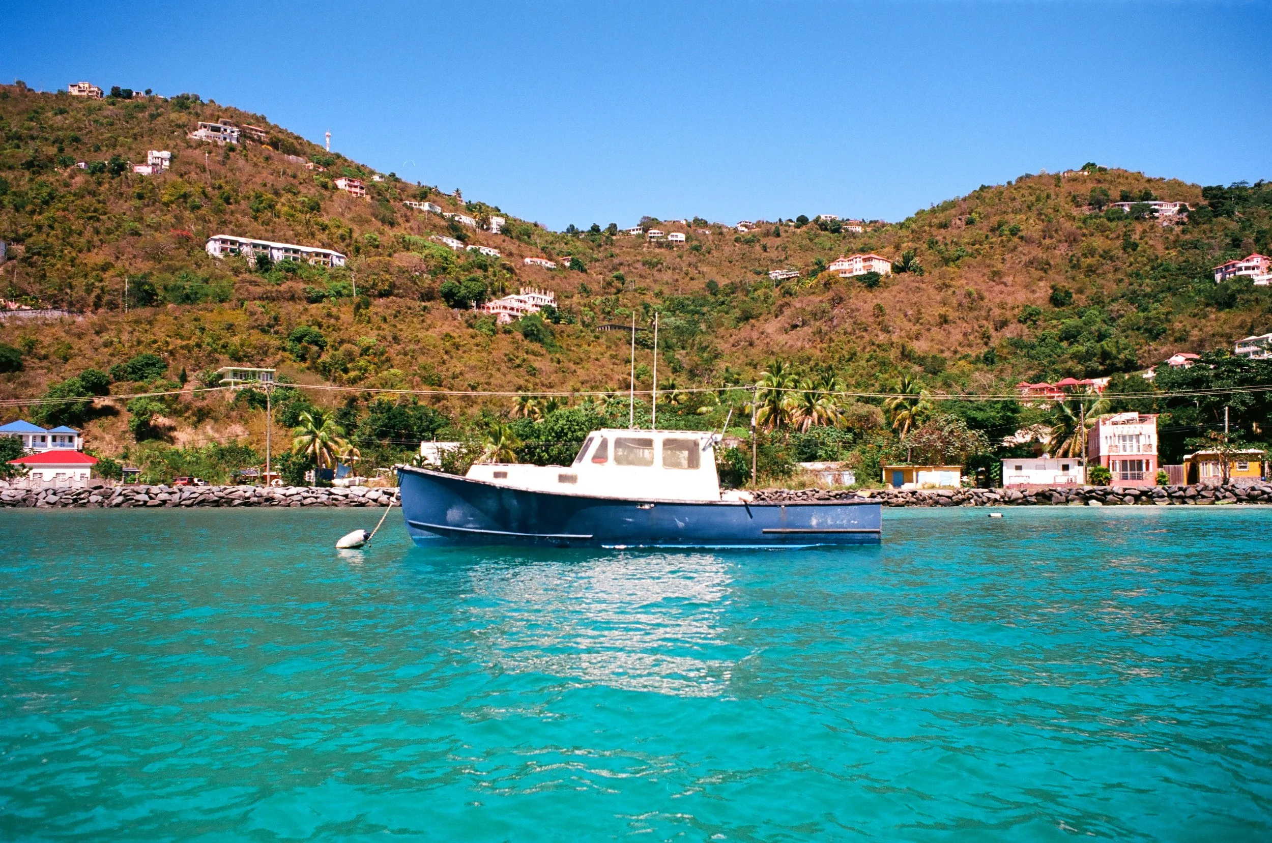 bvis portfolio - 52 of 76.jpeg