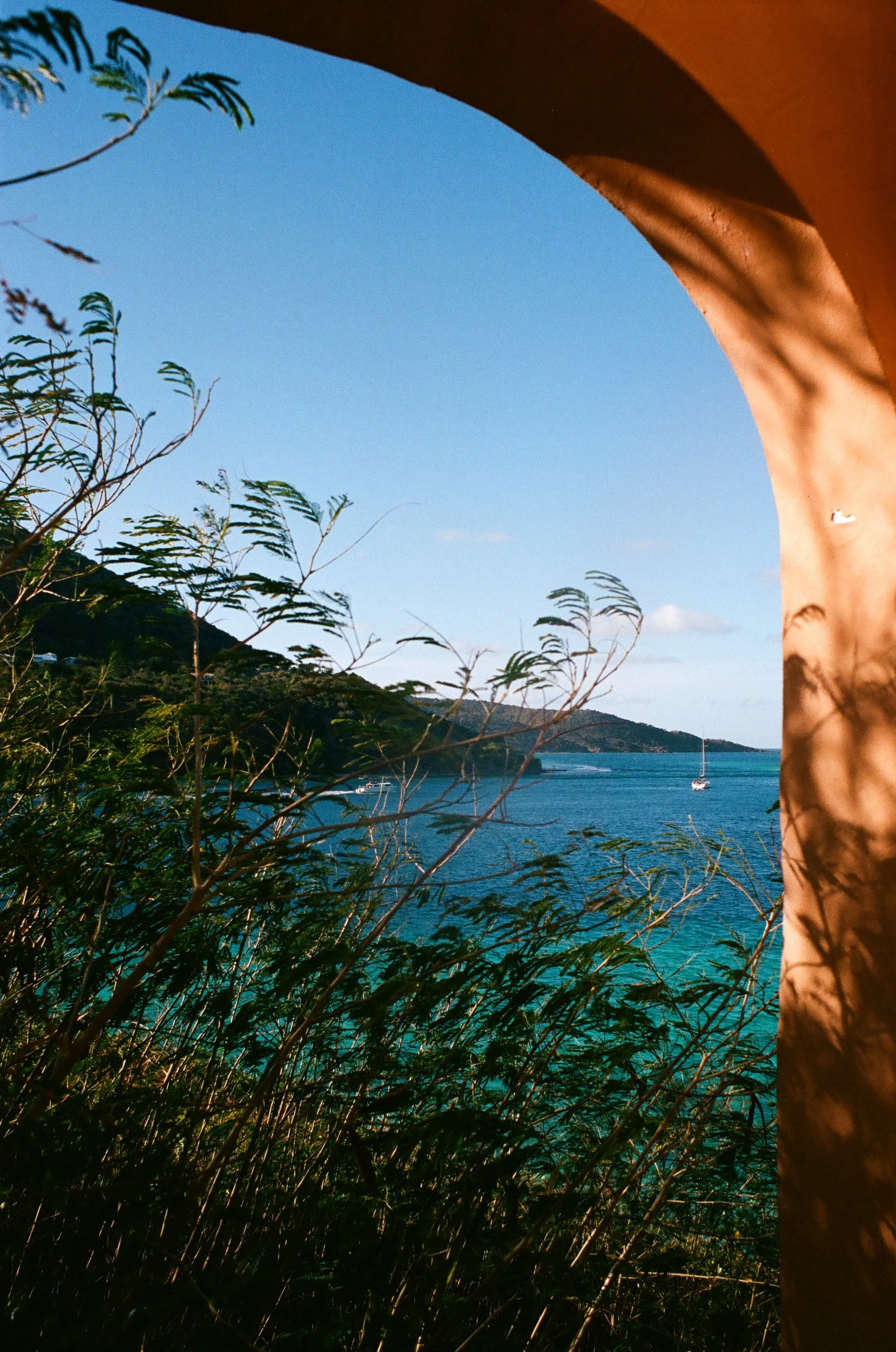 bvis portfolio - 15 of 76.jpeg