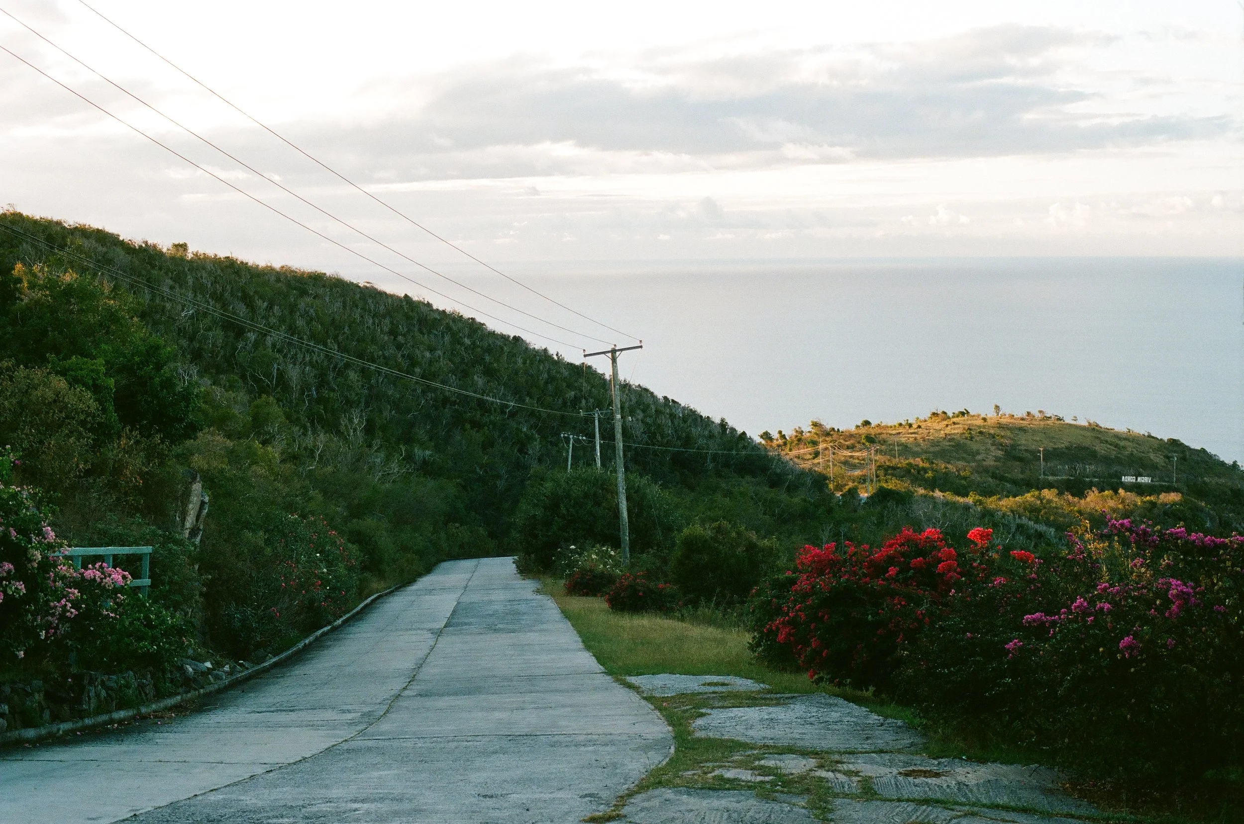 bvis portfolio - 36 of 76.jpeg