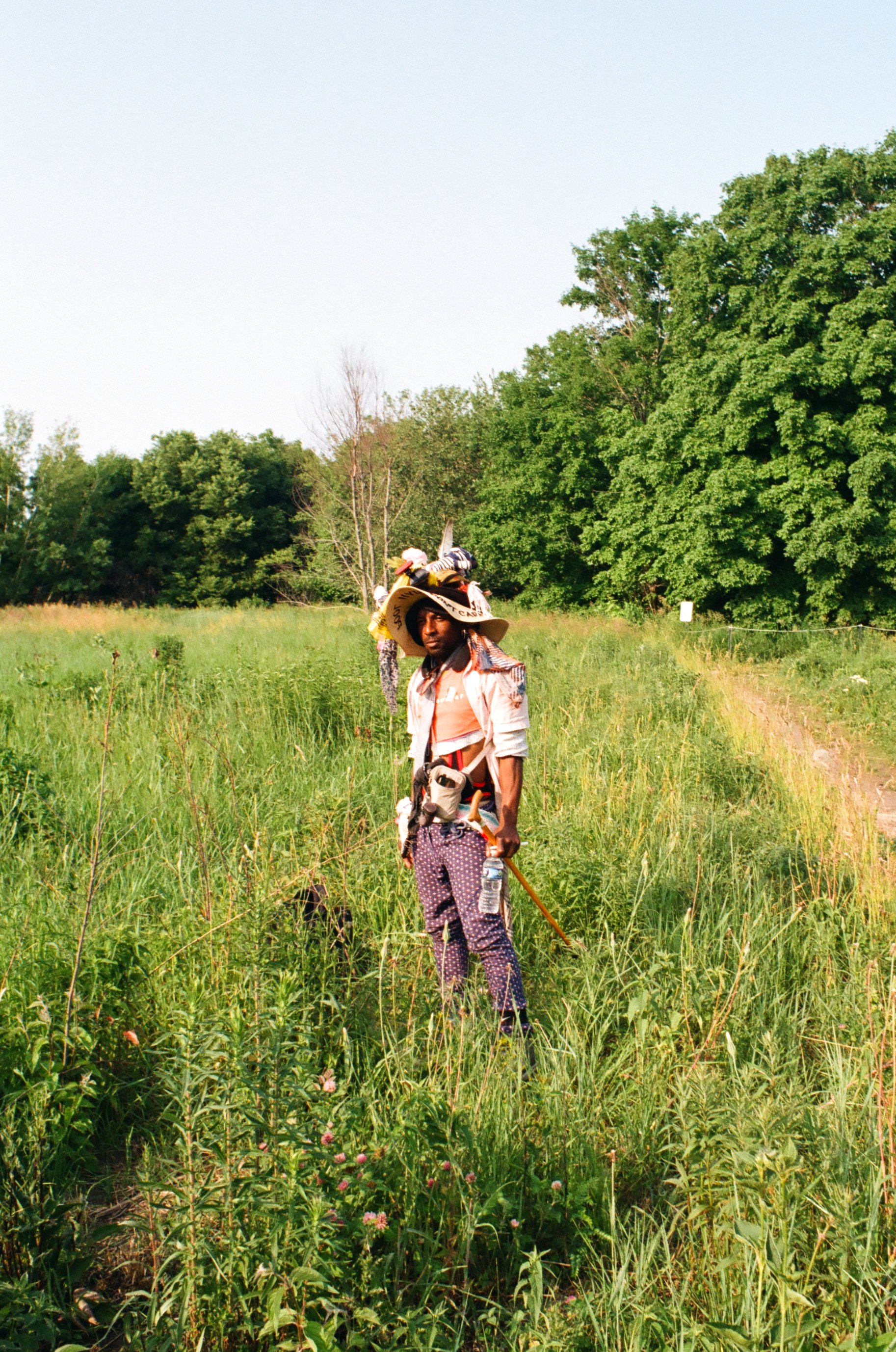 Stranger - Montrose Bird Sanctuary