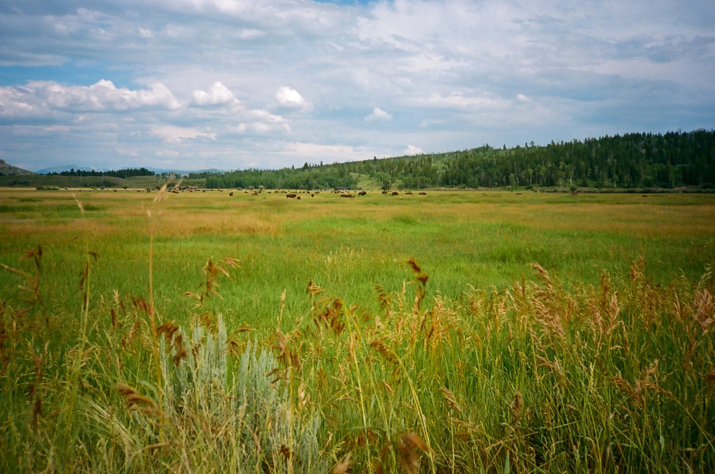 Grand Teton National Park, WY