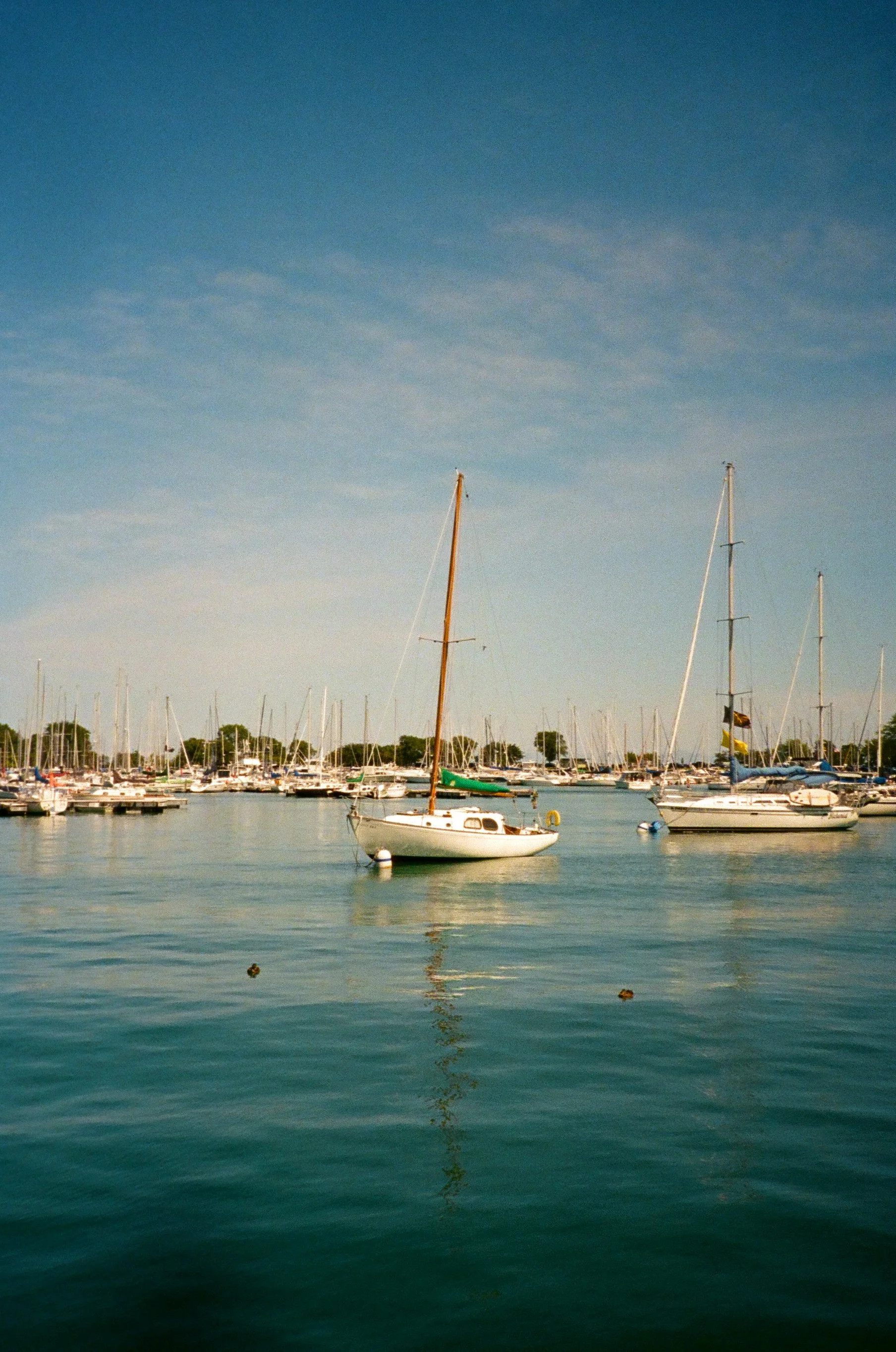 chicagoland favs edit - 151 of 190.jpeg