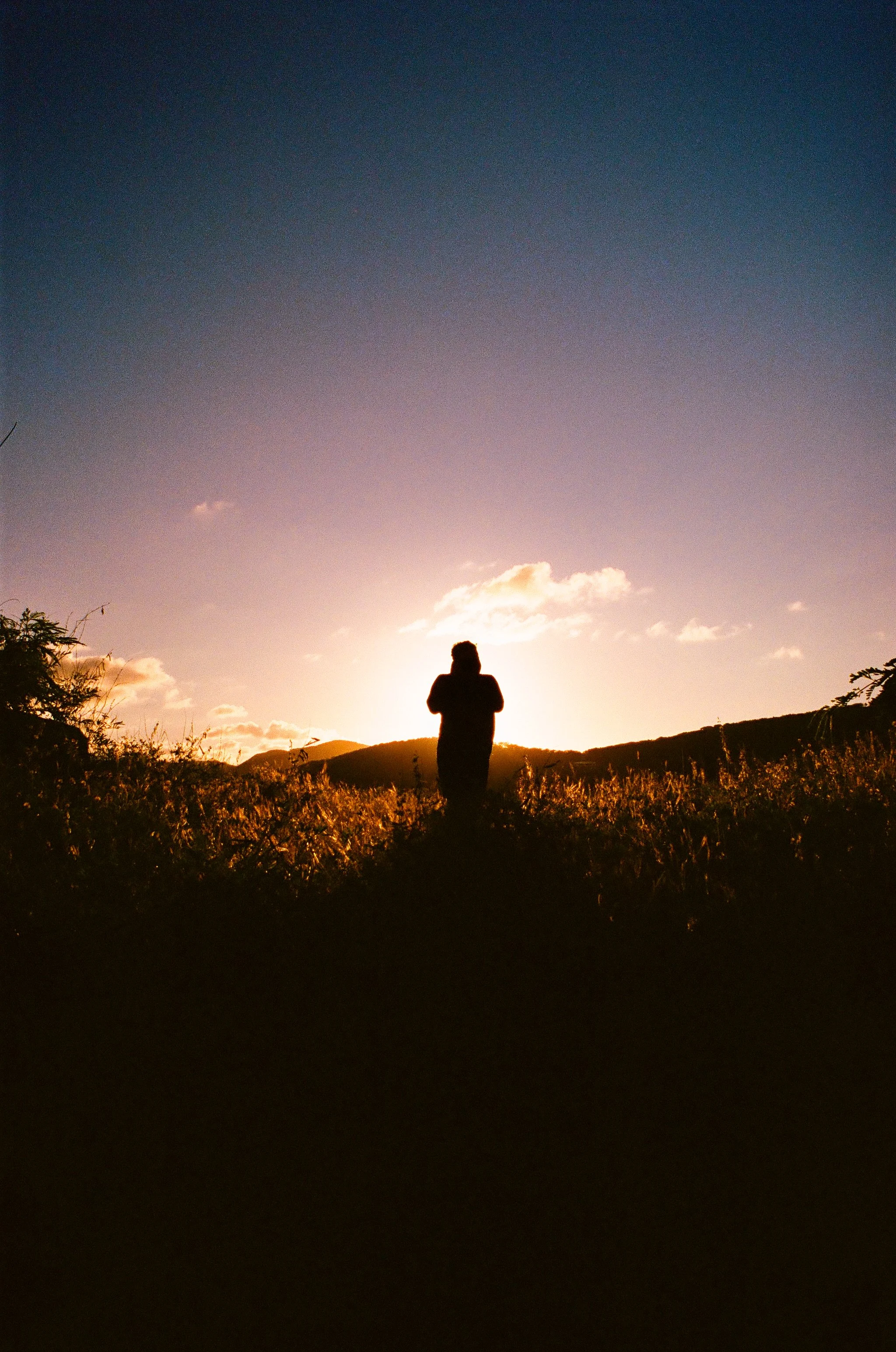 bvis portfolio - 43 of 76.jpeg