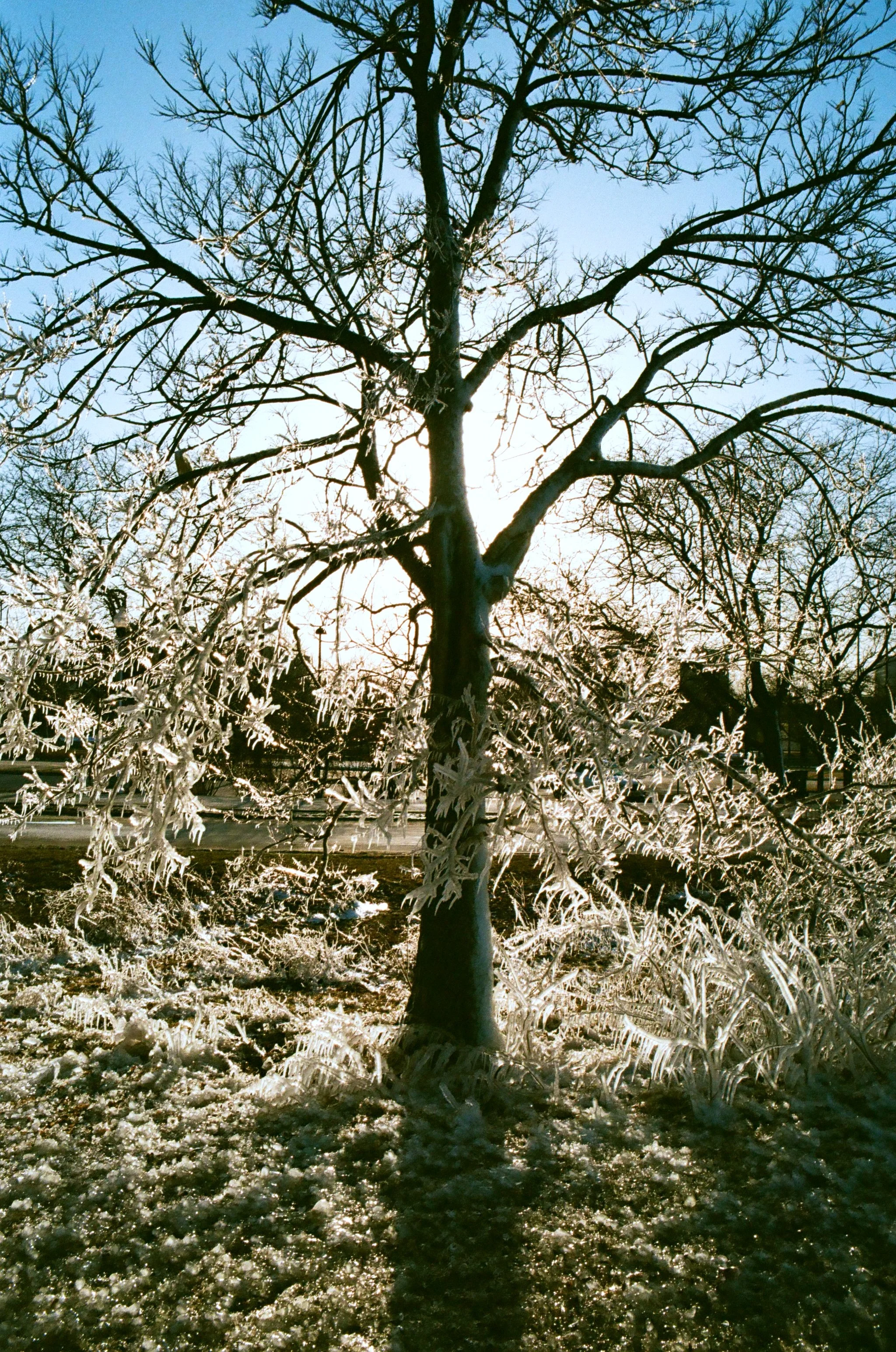 'chiago' portfolio - 18 of 35.jpeg