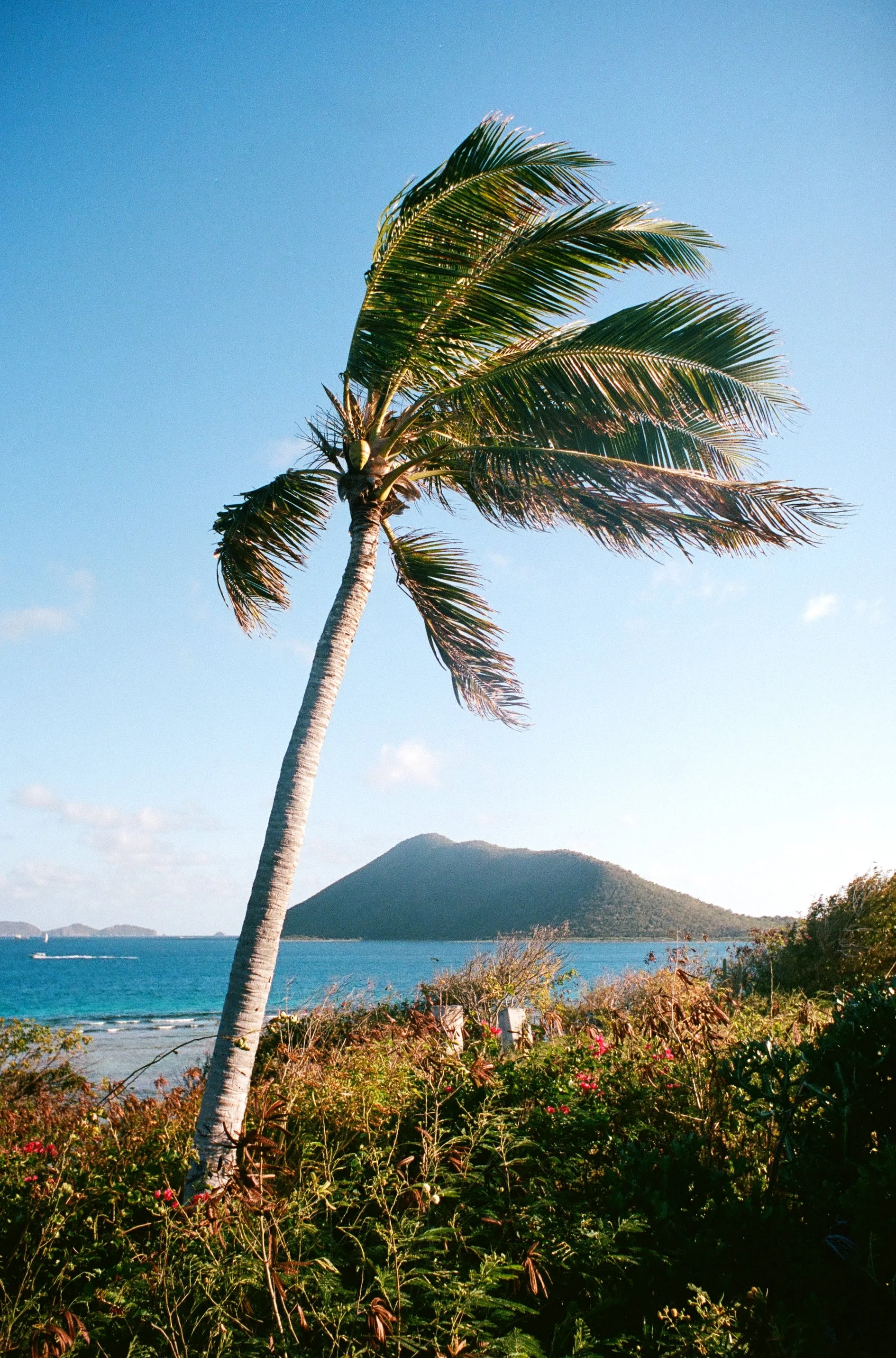 bvis portfolio - 32 of 76.jpeg