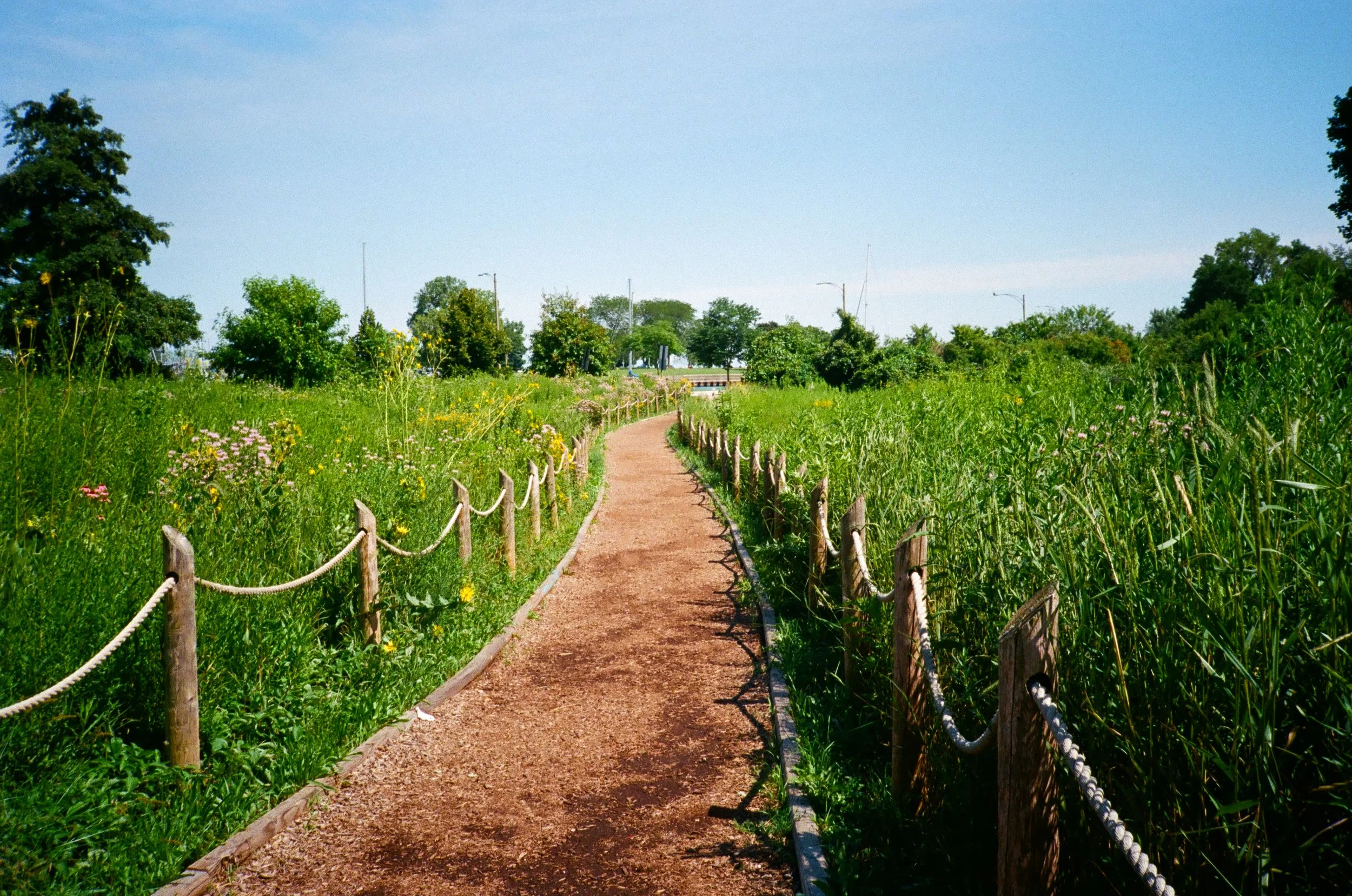 chicagoland favs edit - 154 of 190.jpeg