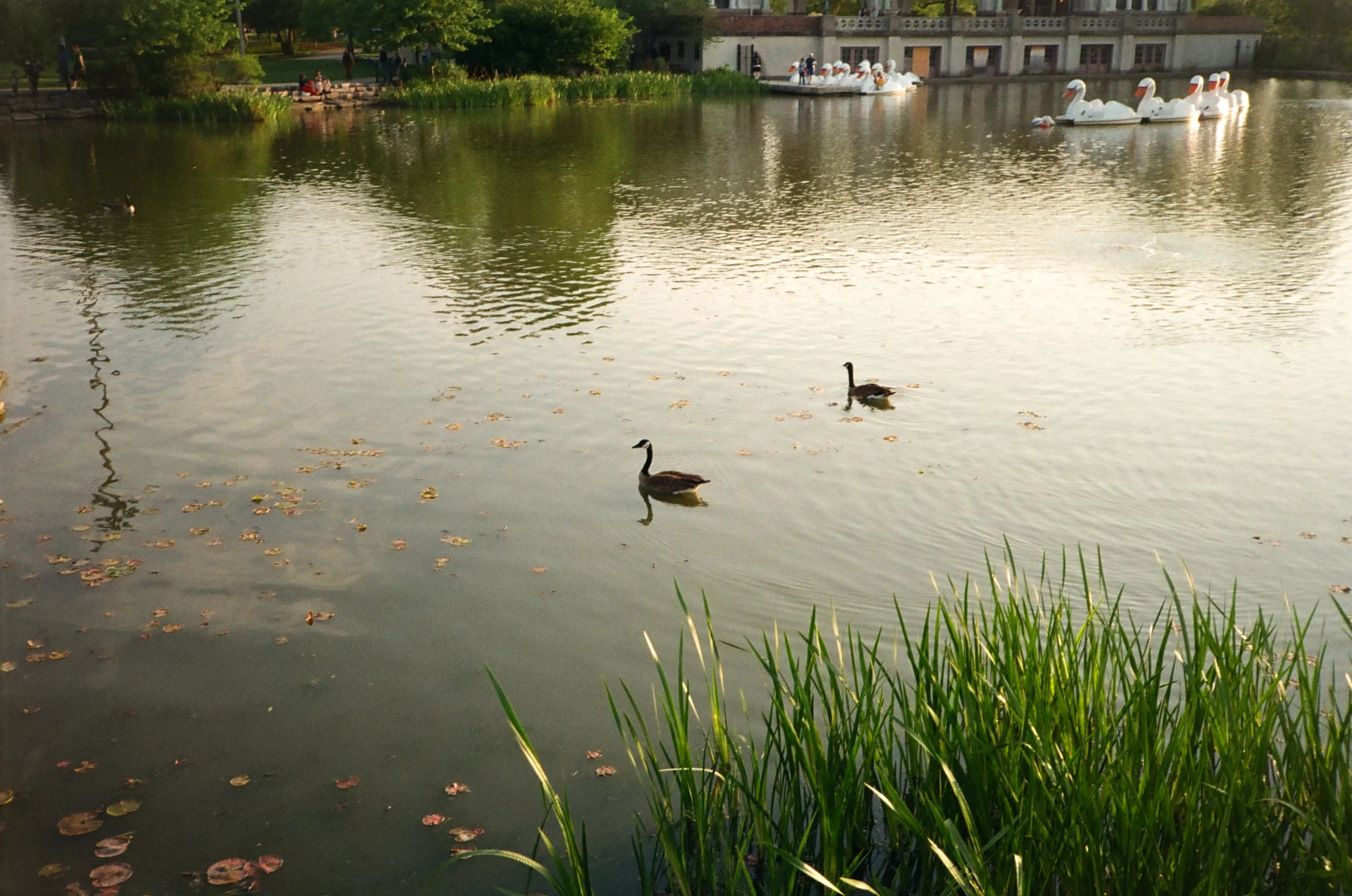 chicagoland favs edit - 135 of 190.jpeg