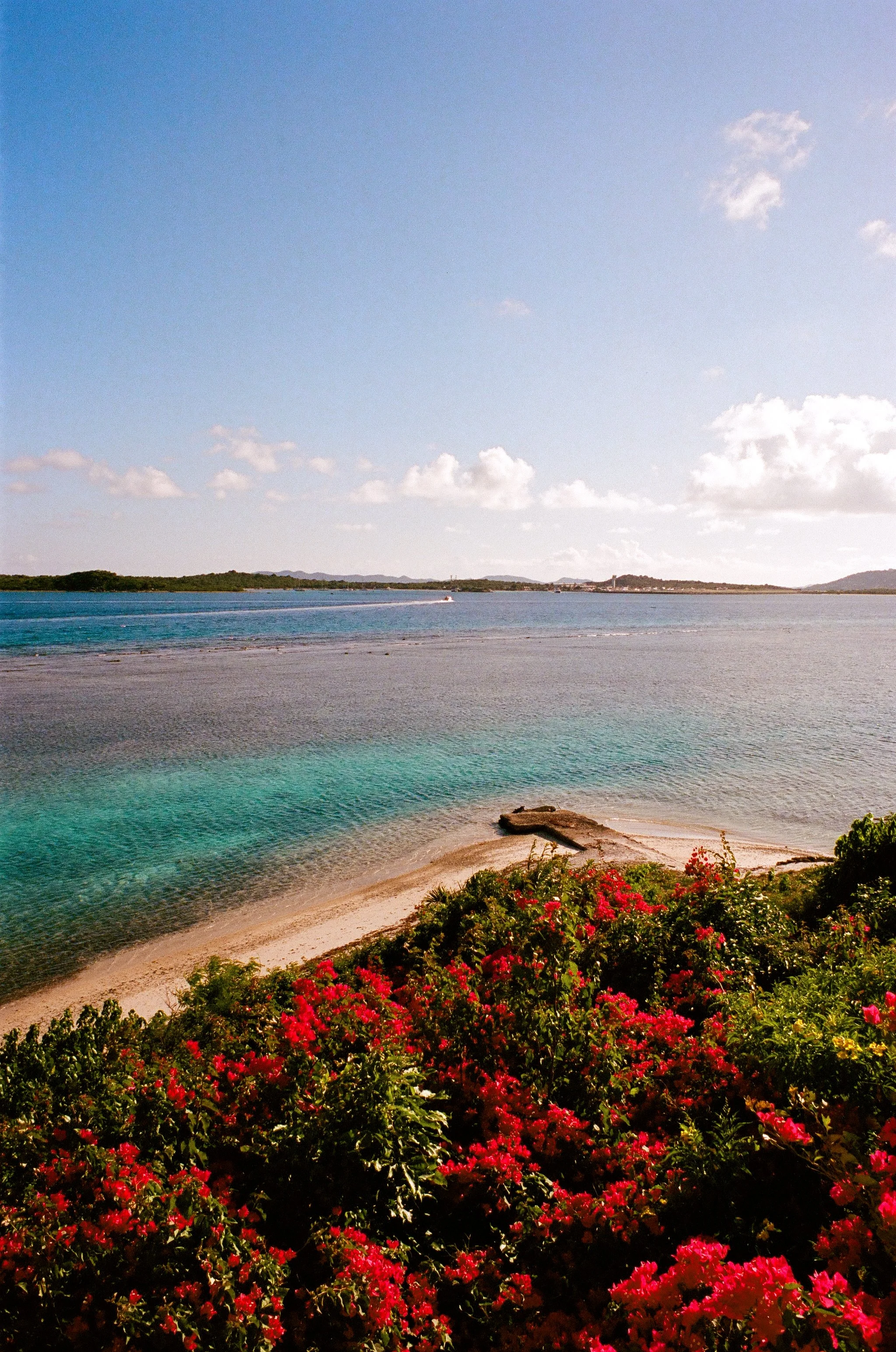 bvis portfolio - 60 of 76.jpeg