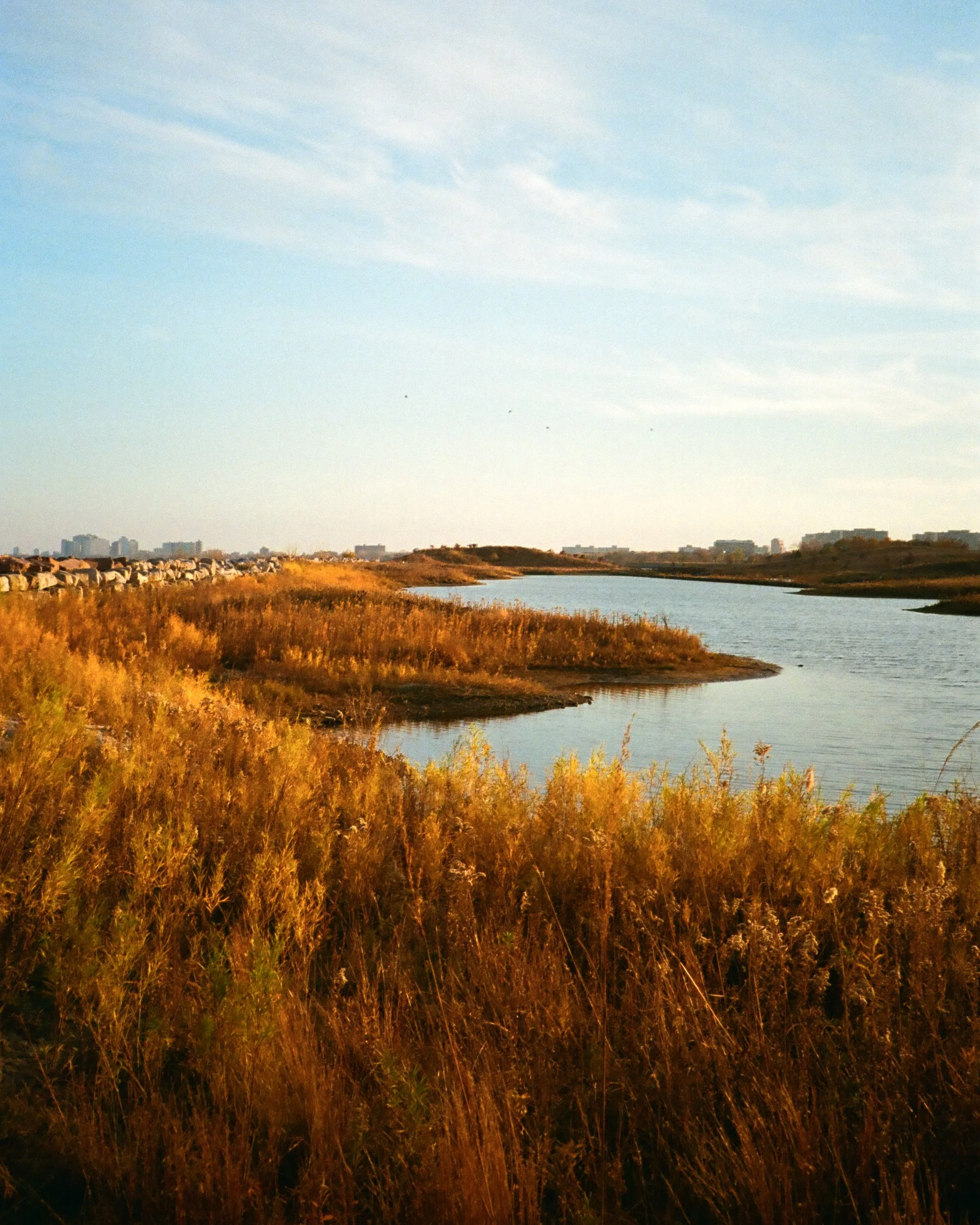 'chiago' portfolio - 3 of 35.jpeg