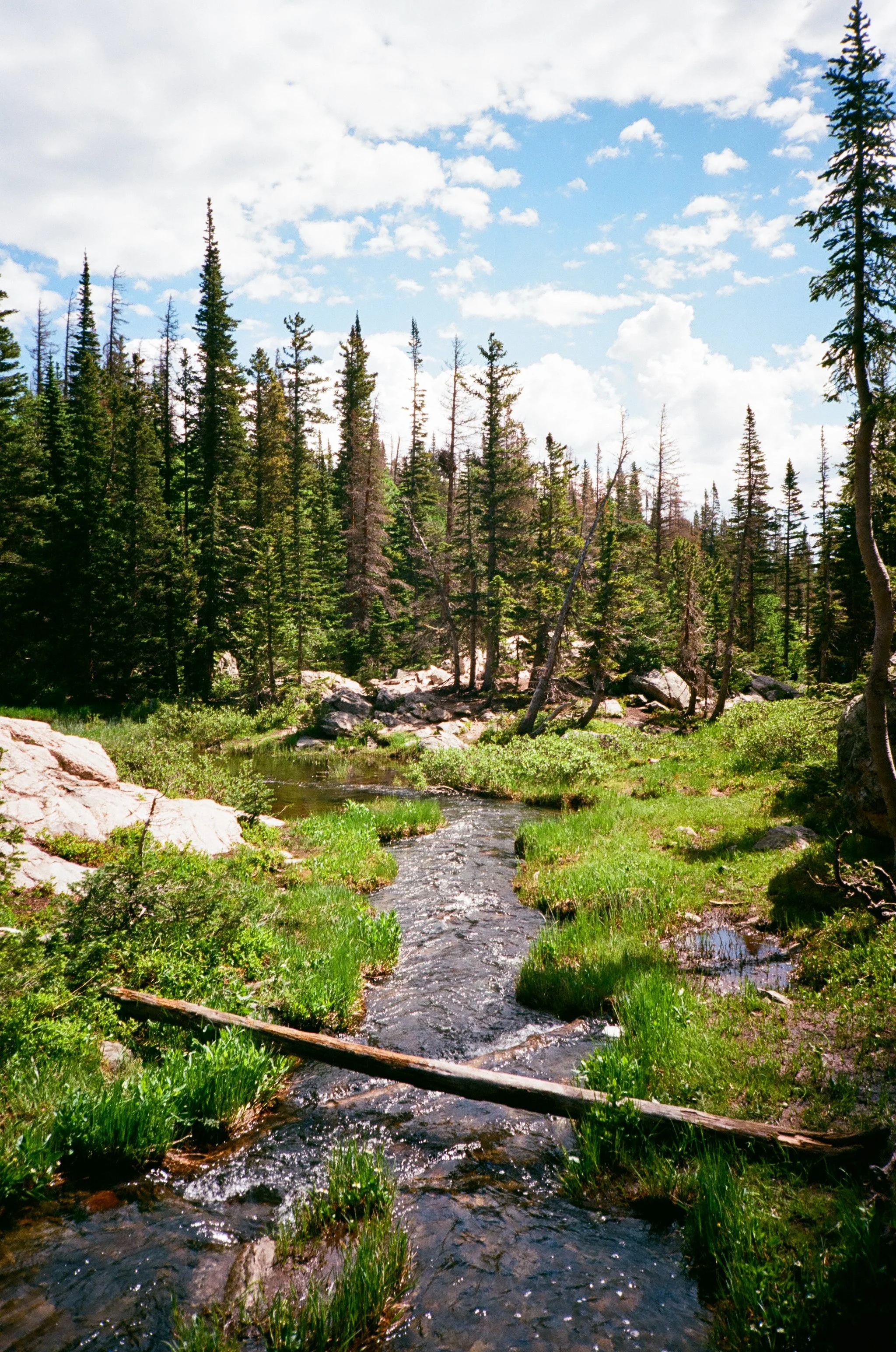 Rocky Mountain National Park, CO