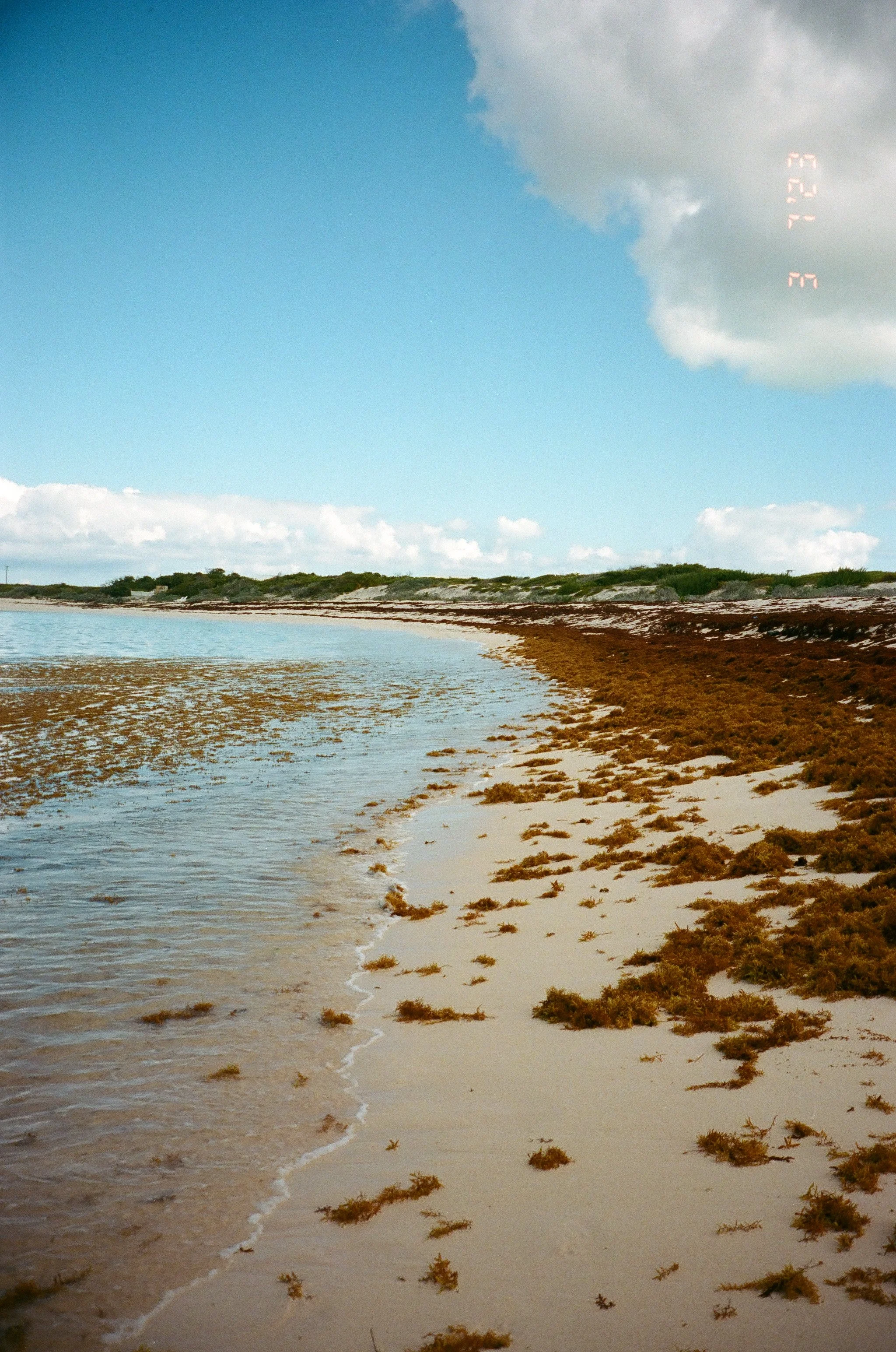 bvis portfolio - 31 of 76.jpeg