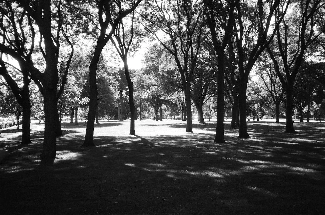 Logan Square - 45 of 85.jpeg