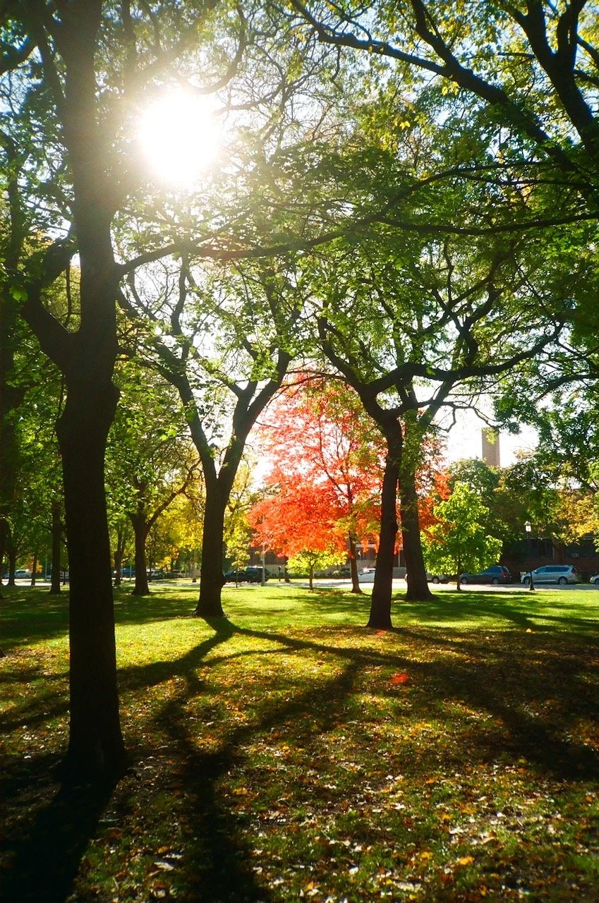 Logan Square - 71 of 85.jpeg