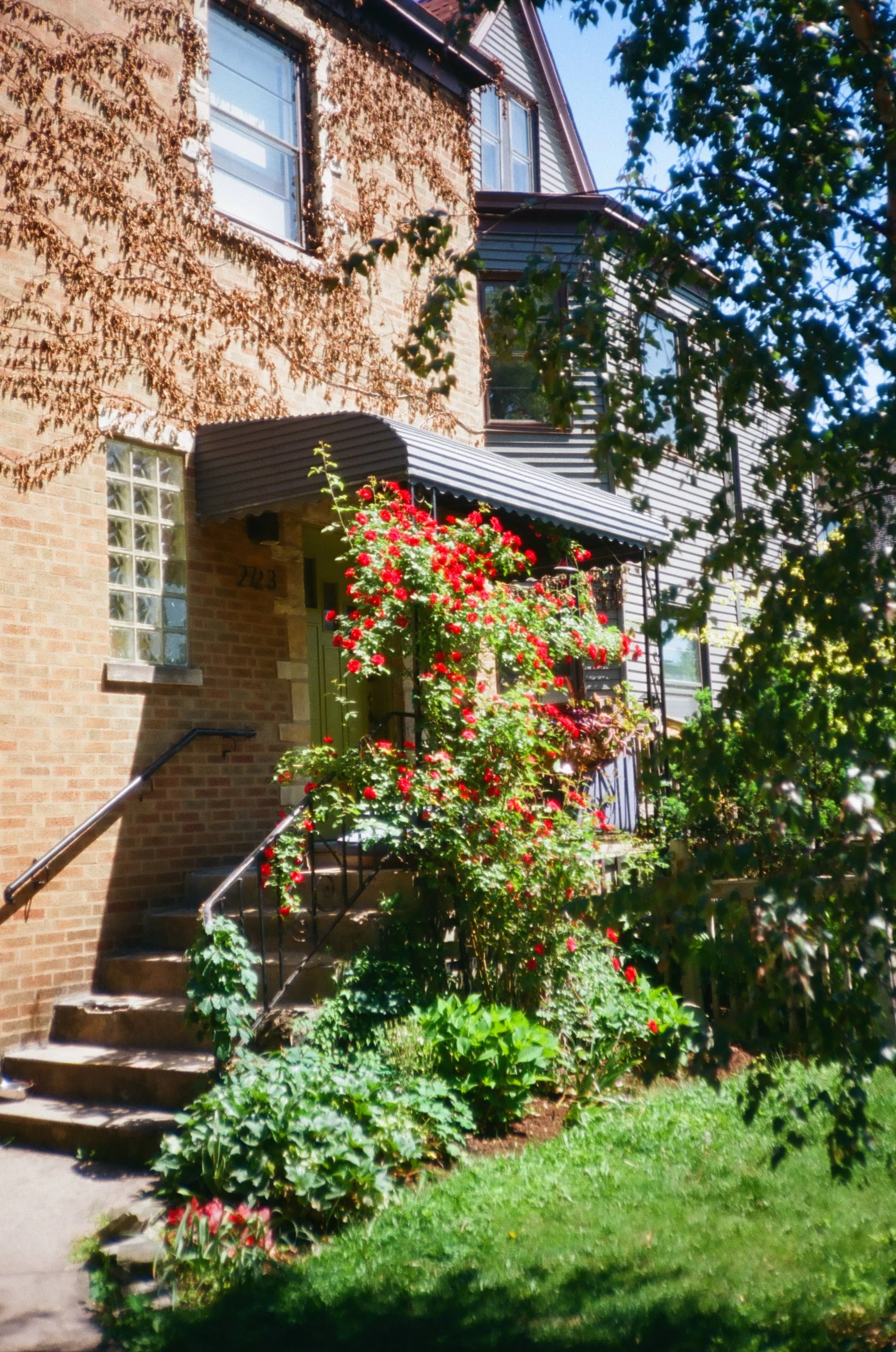 chicagoland favs edit - 98 of 190.jpeg