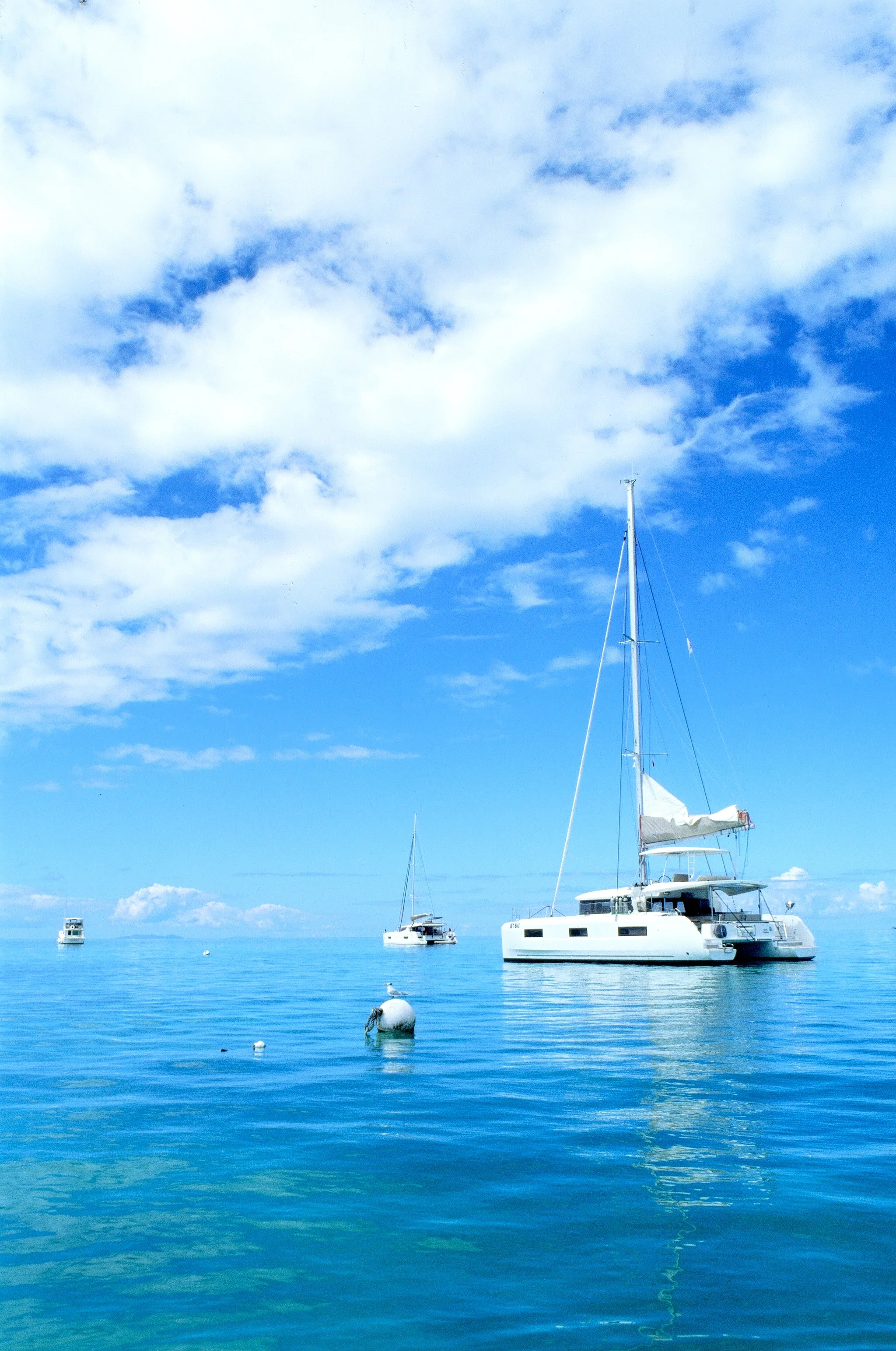 bvis portfolio - 23 of 76.jpeg