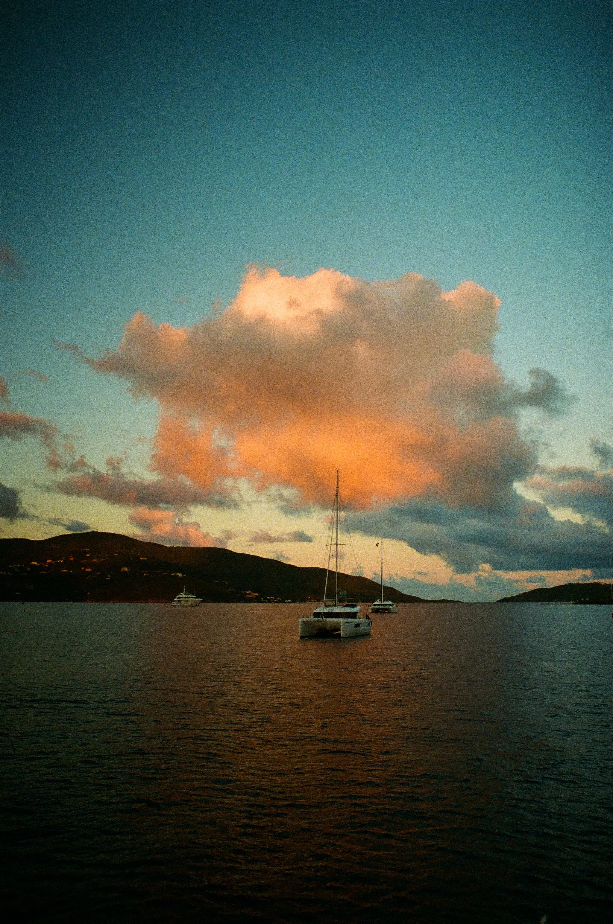 bvis portfolio - 72 of 76.jpeg