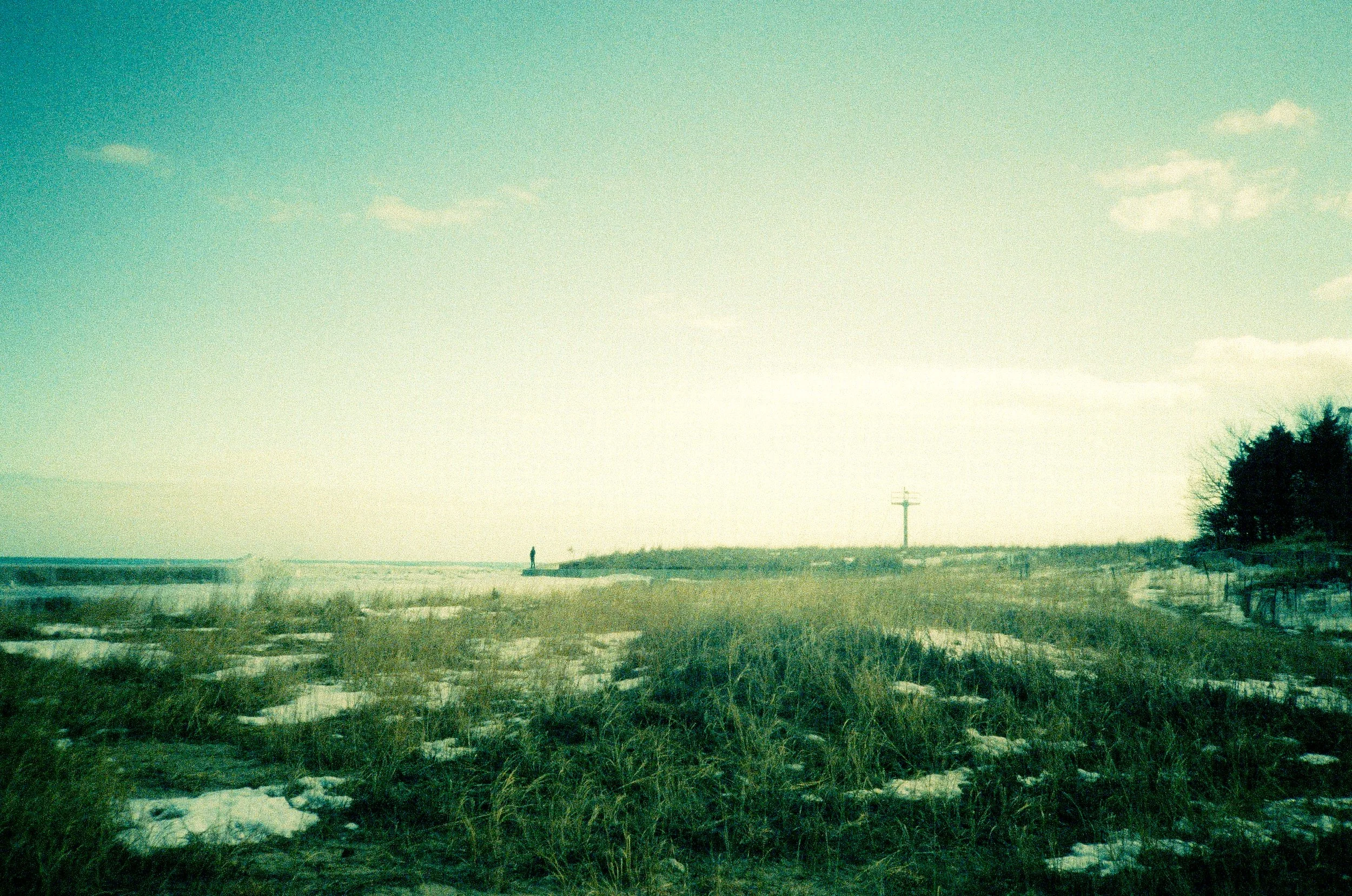 chicagoland favs edit - 83 of 190.jpeg