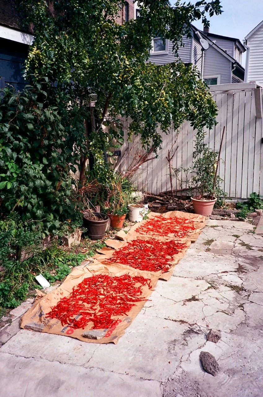 Logan Square - 61 of 85.jpeg