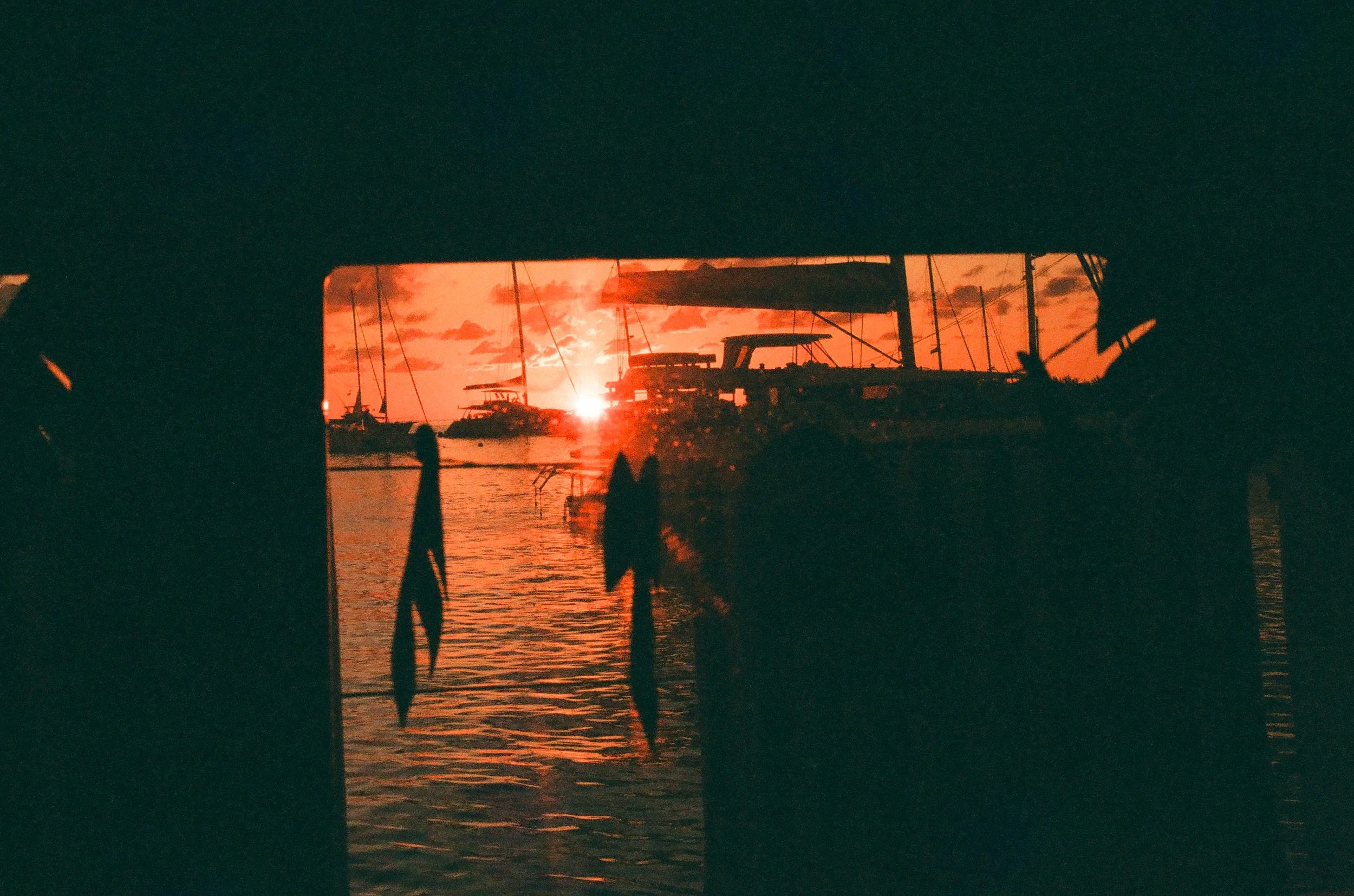 bvis portfolio - 26 of 76.jpeg