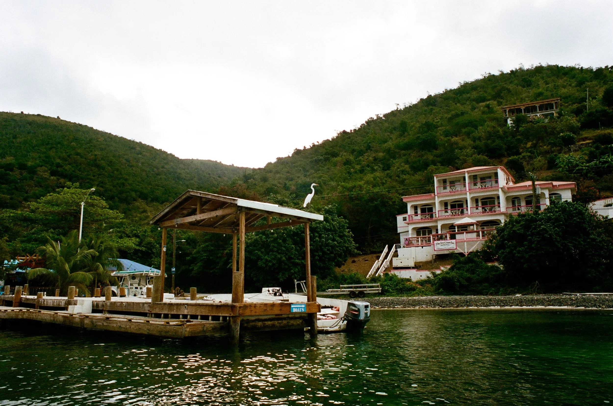 bvis portfolio - 70 of 76.jpeg