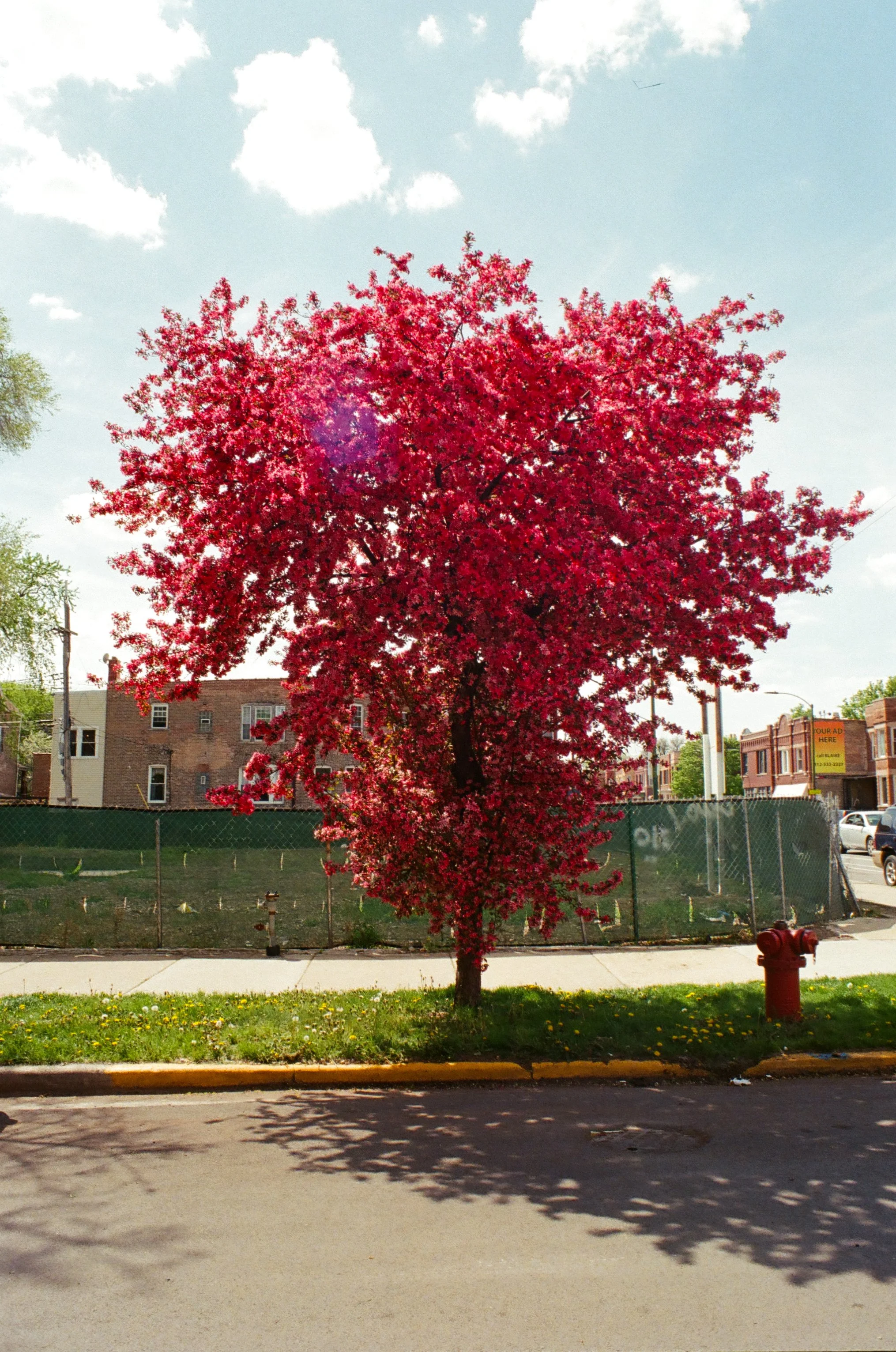 chicagoland favs edit - 139 of 190.jpeg