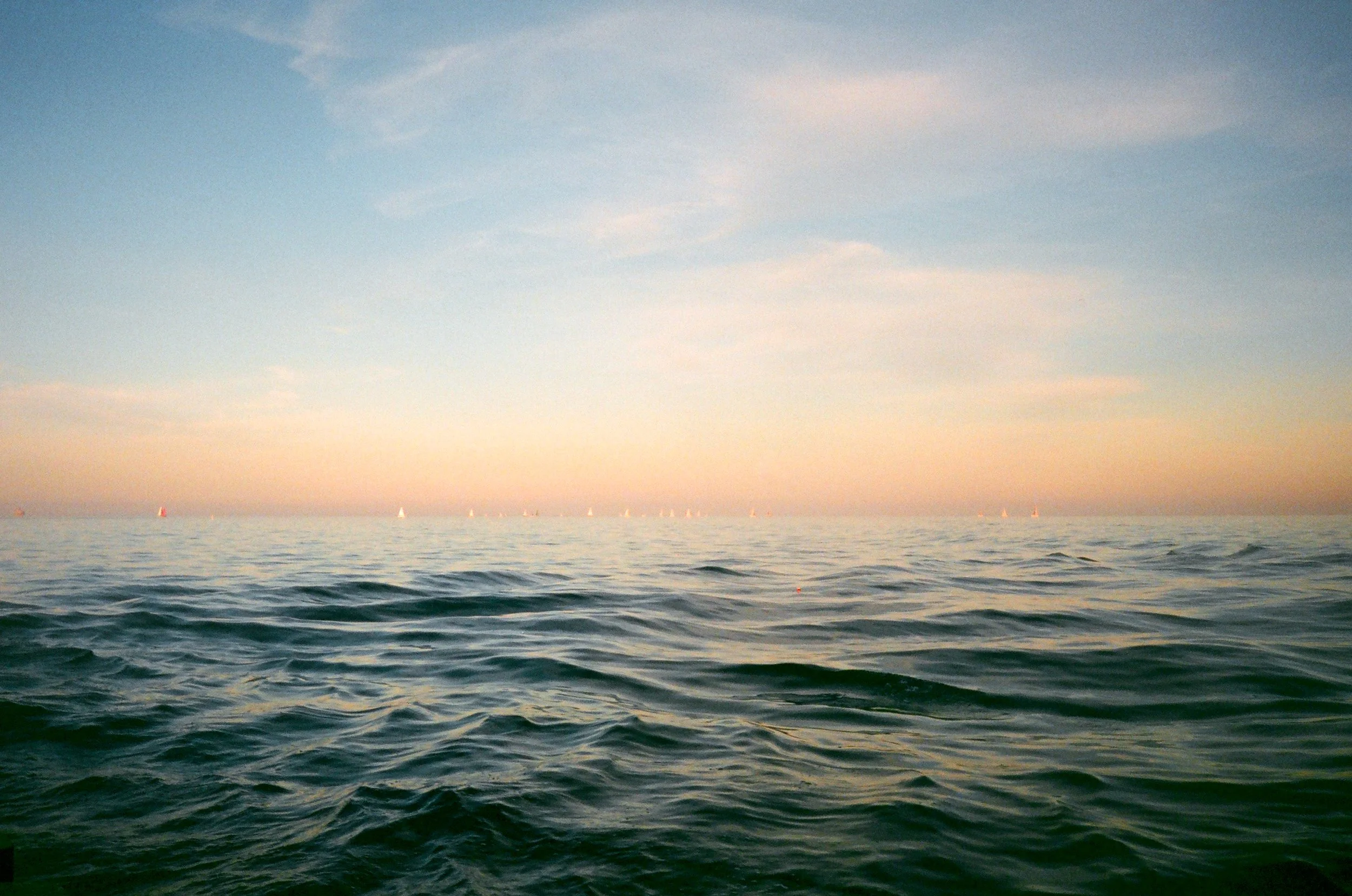 chicagoland favs edit - 1 of 190.jpeg