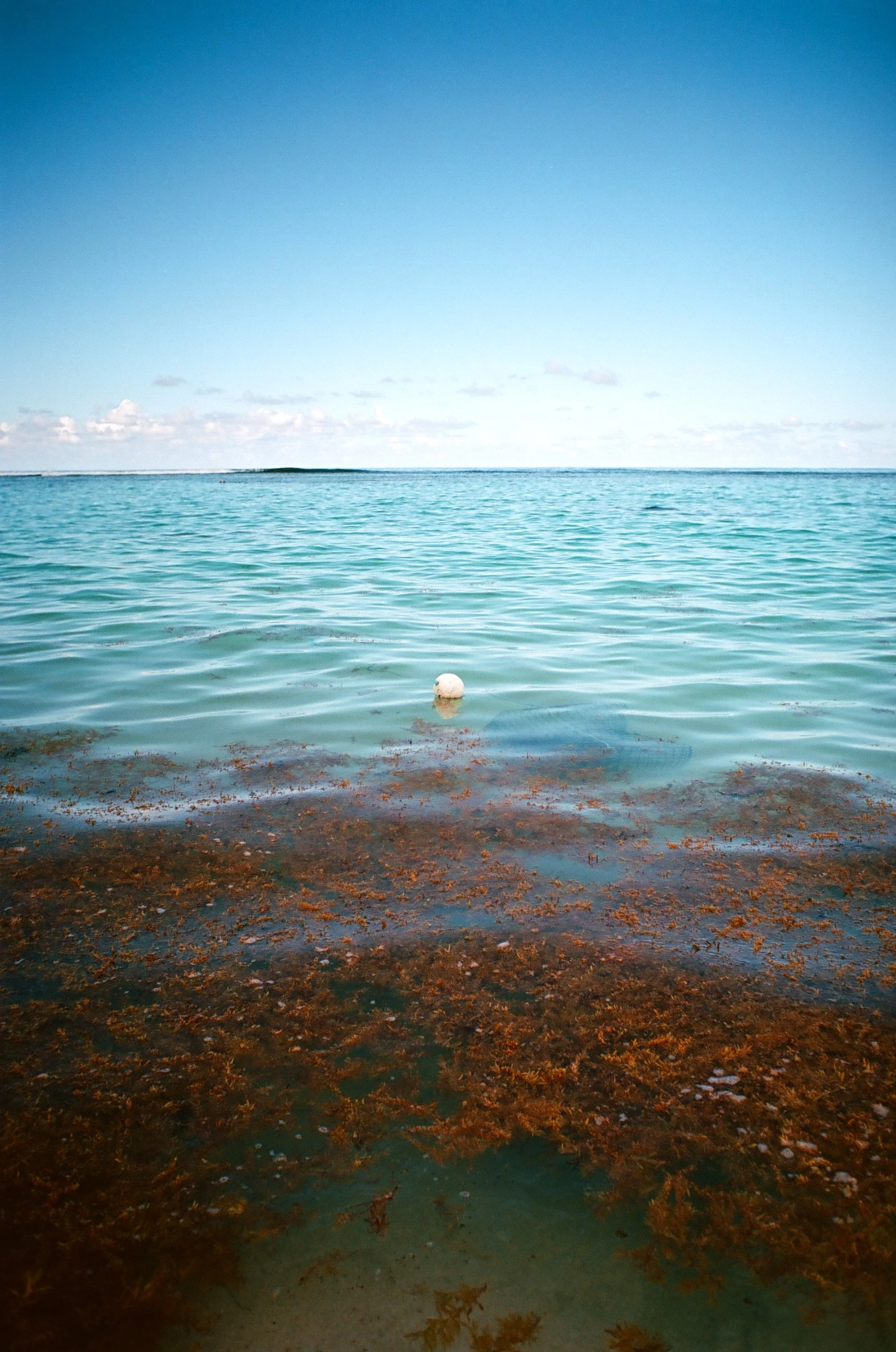 bvis portfolio - 16 of 76.jpeg