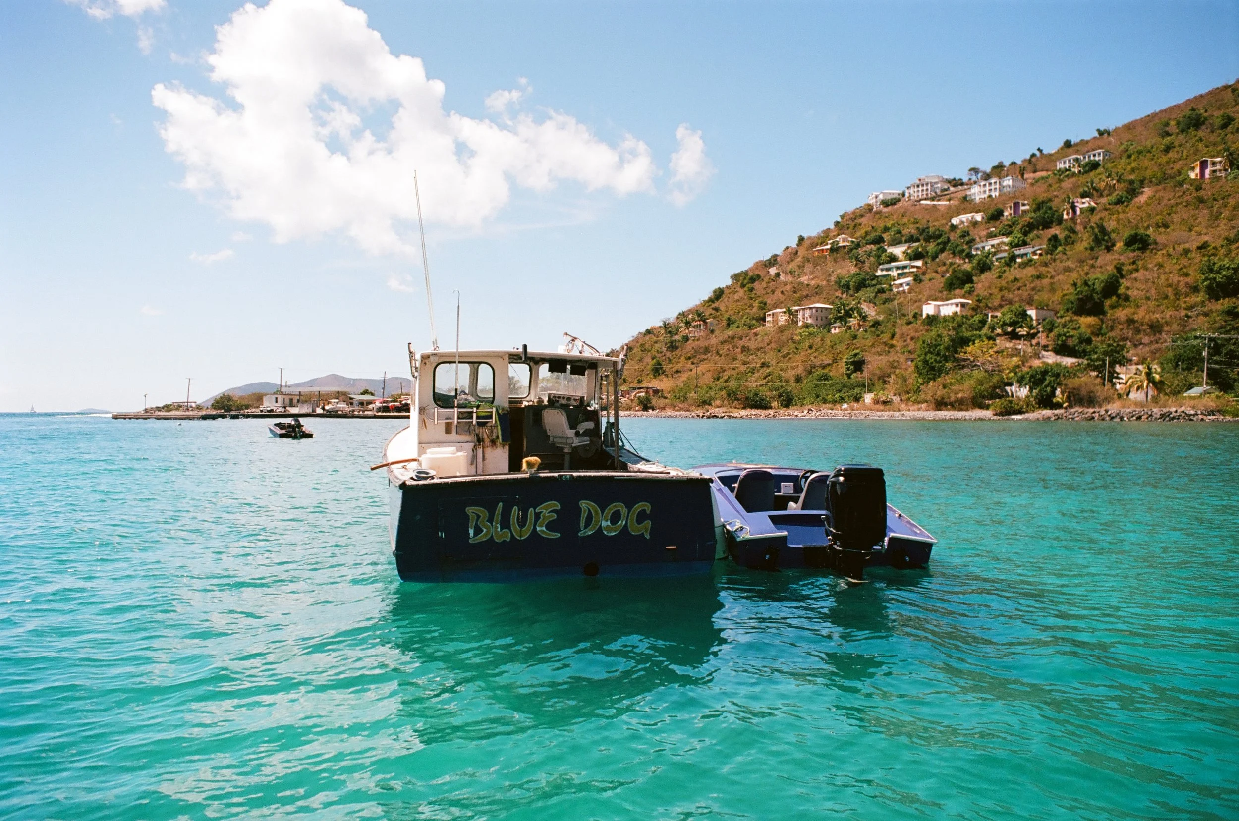 bvis portfolio - 49 of 76.jpeg