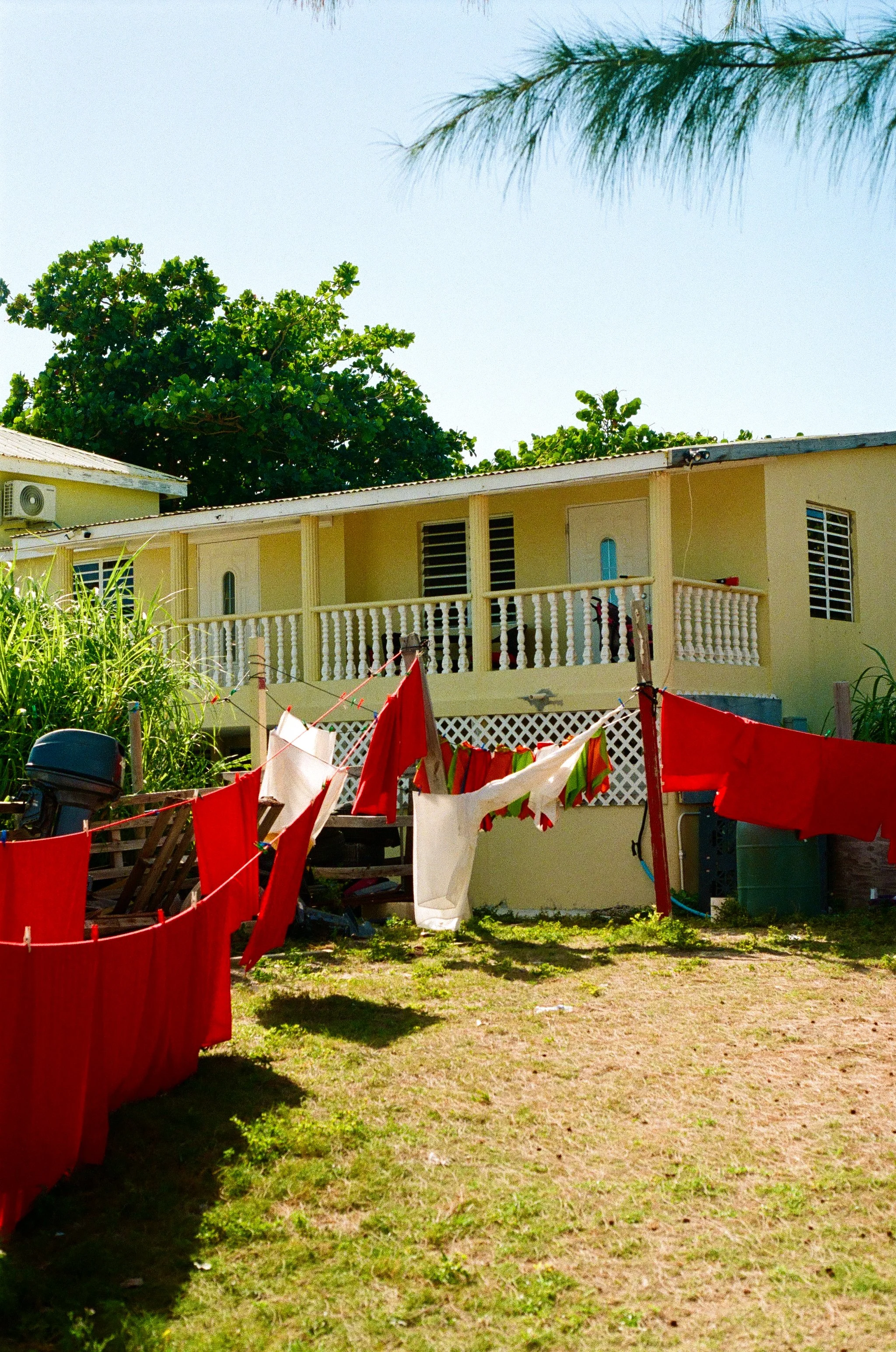 bvis portfolio - 17 of 76.jpeg