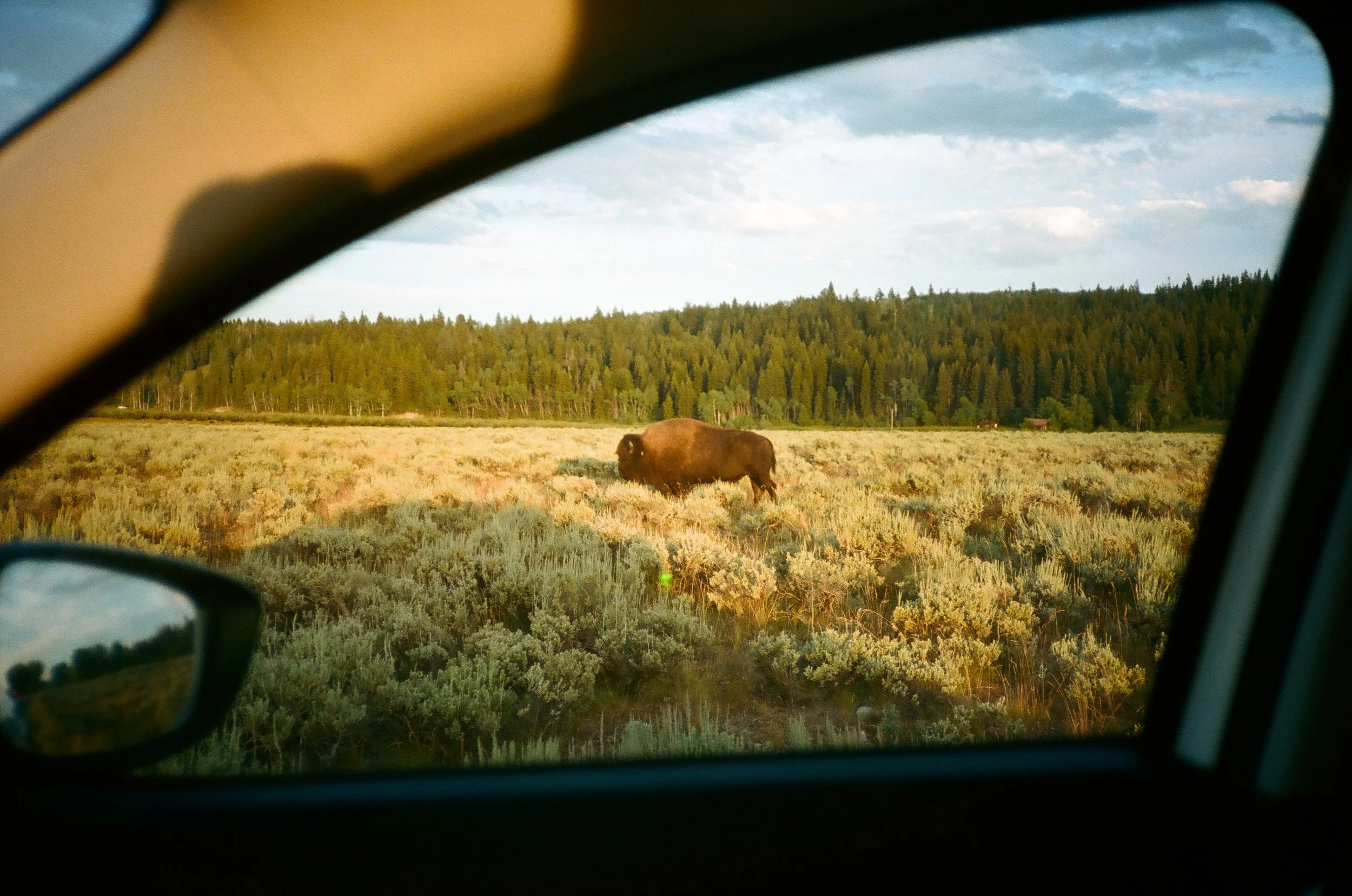 Grand Teton National Park, WY