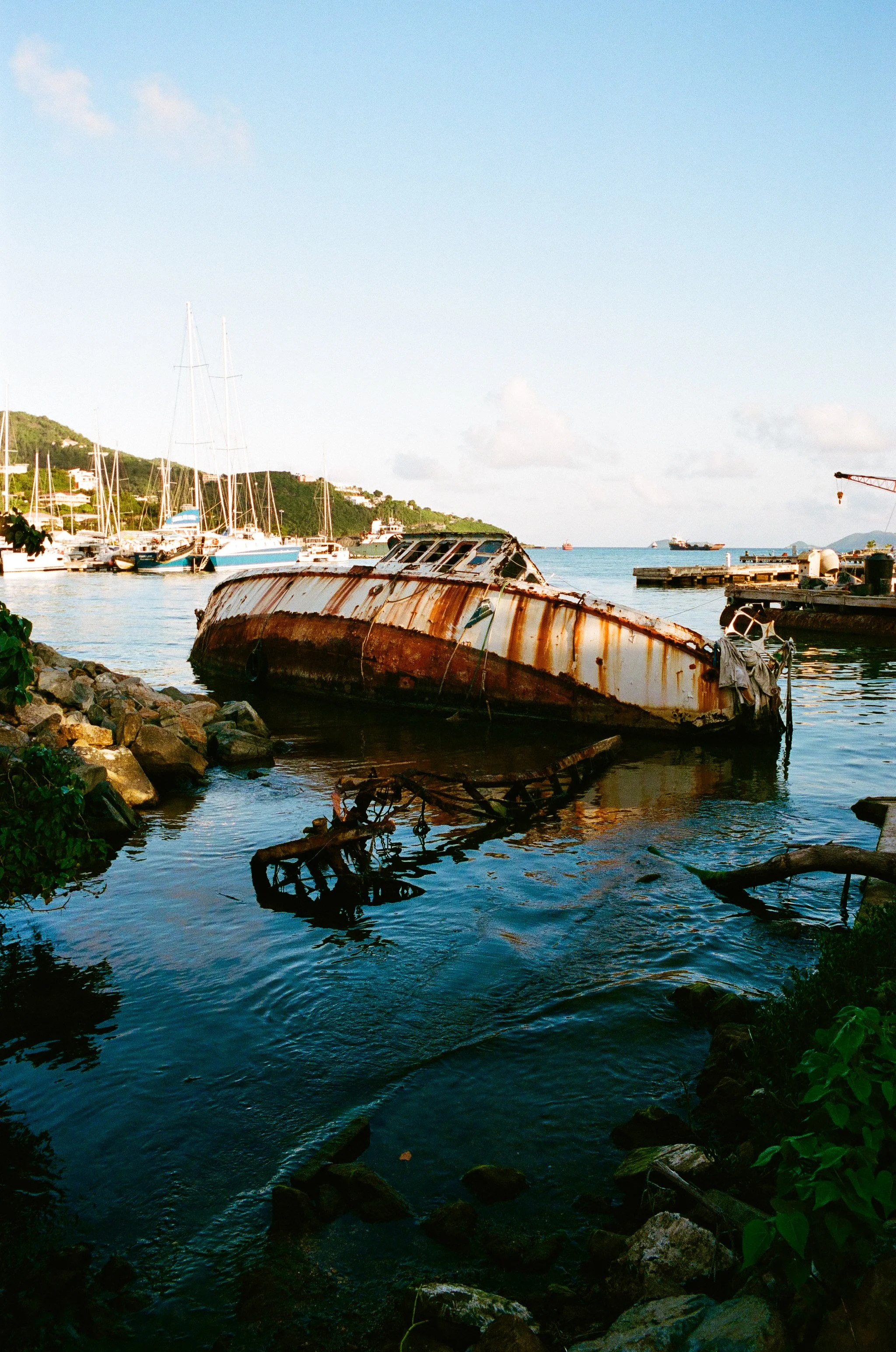 bvis portfolio - 68 of 76.jpeg