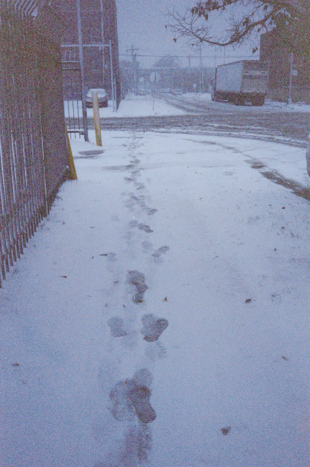 chicagoland favs edit - 13 of 190.jpeg