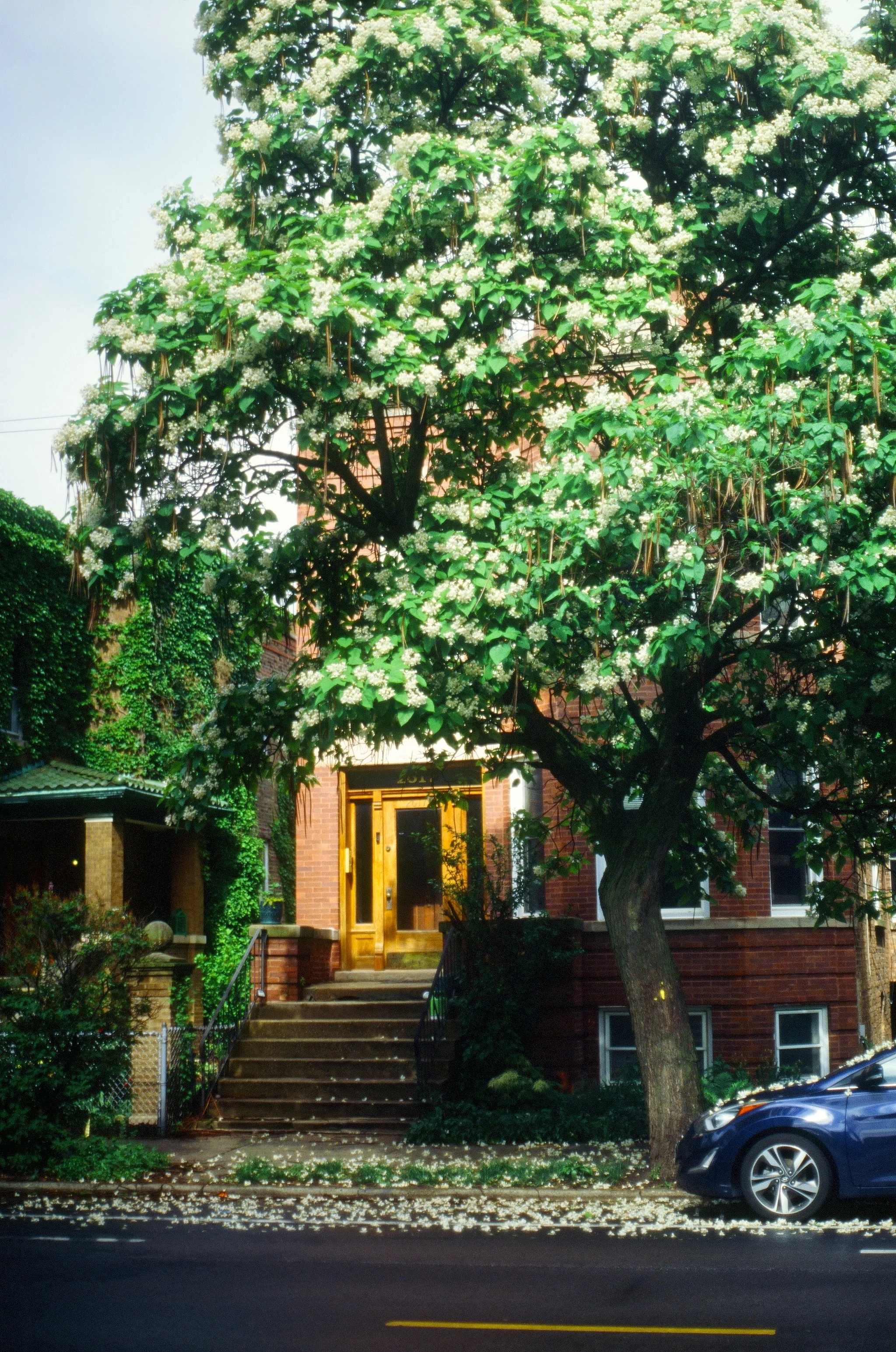 chicagoland favs edit - 115 of 190.jpeg