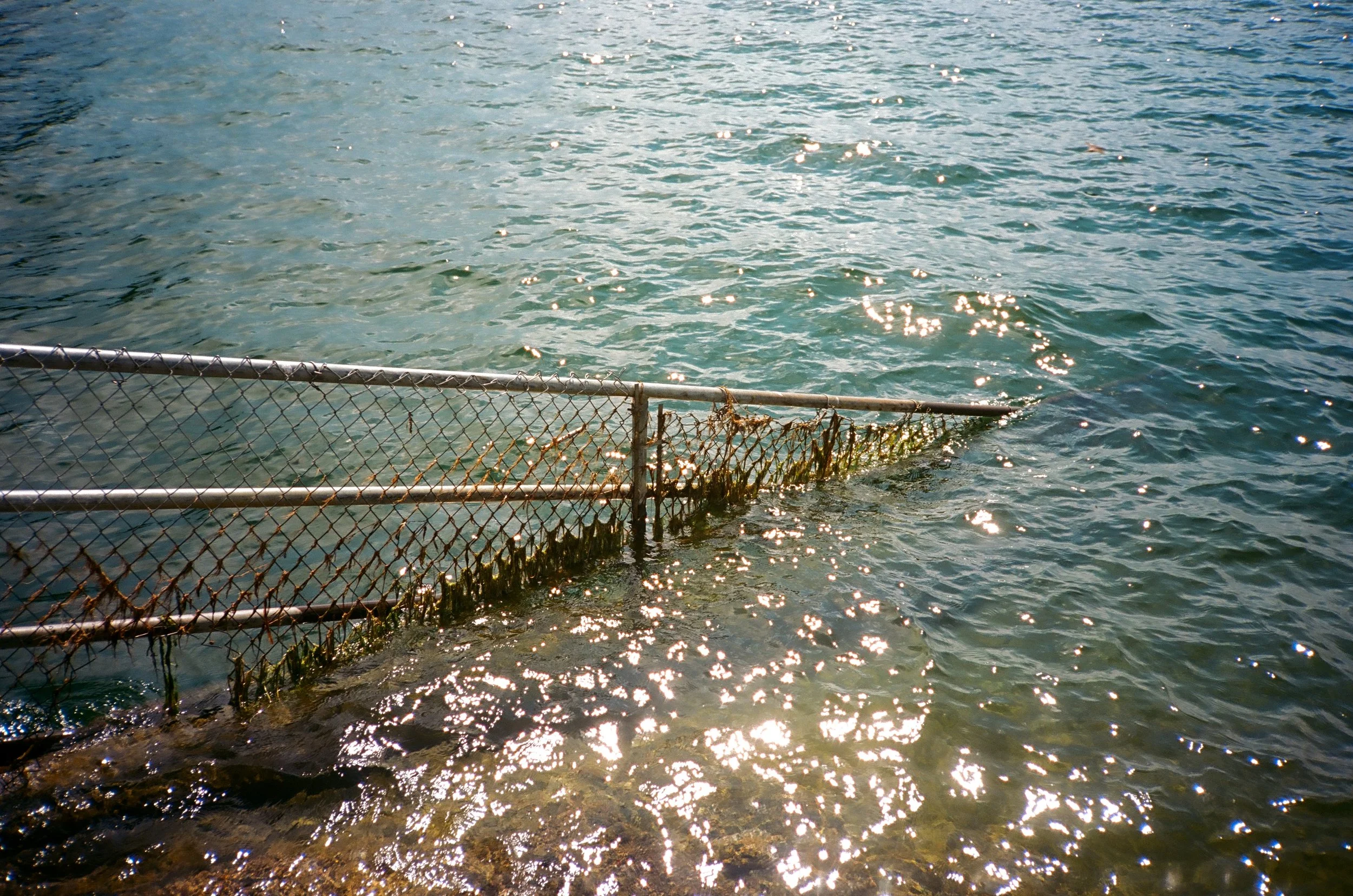 Grand Teton National Park, WY