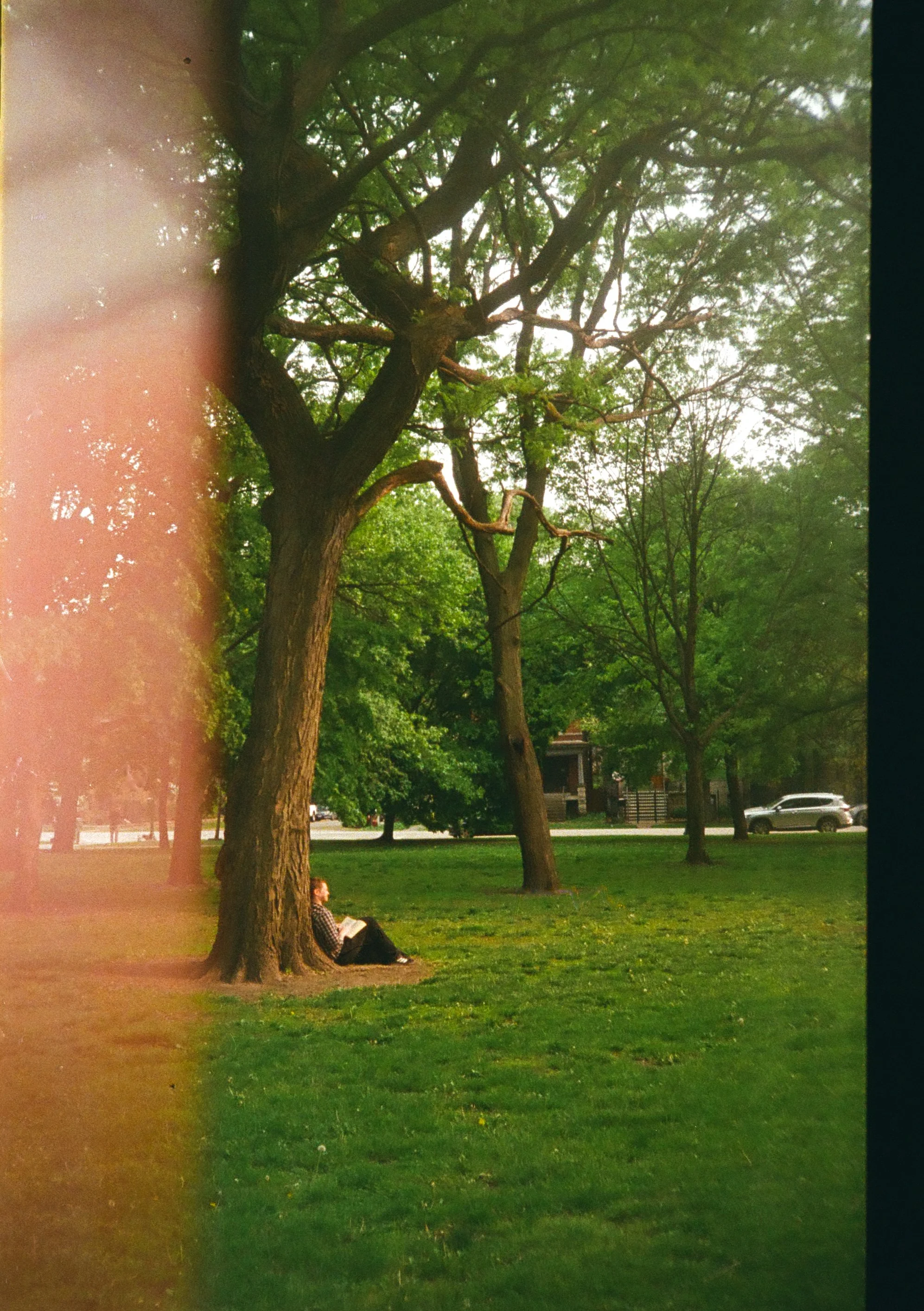 chicagoland favs edit - 132 of 190.jpeg