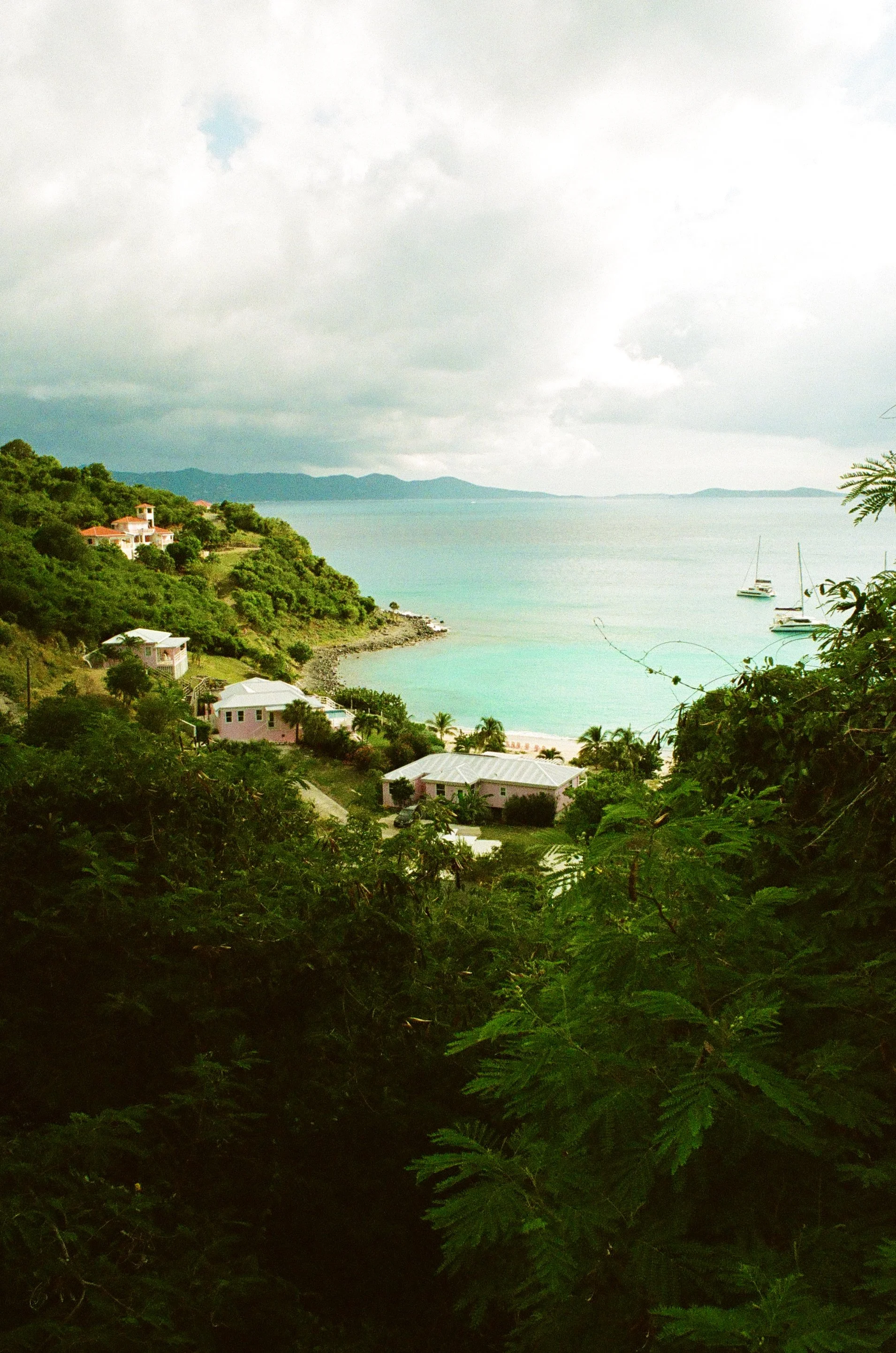 bvis portfolio - 50 of 76.jpeg