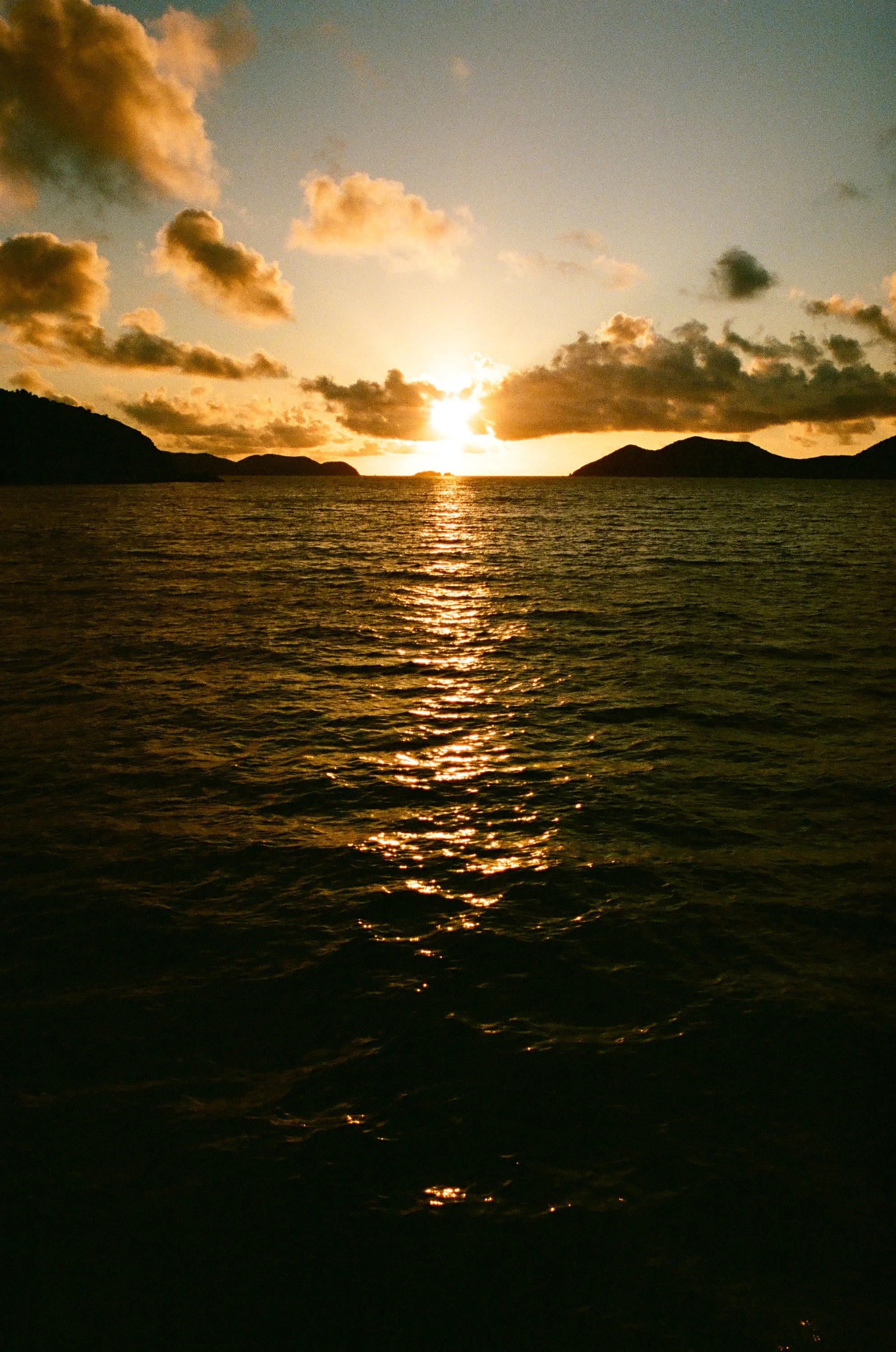 bvis portfolio - 18 of 76.jpeg