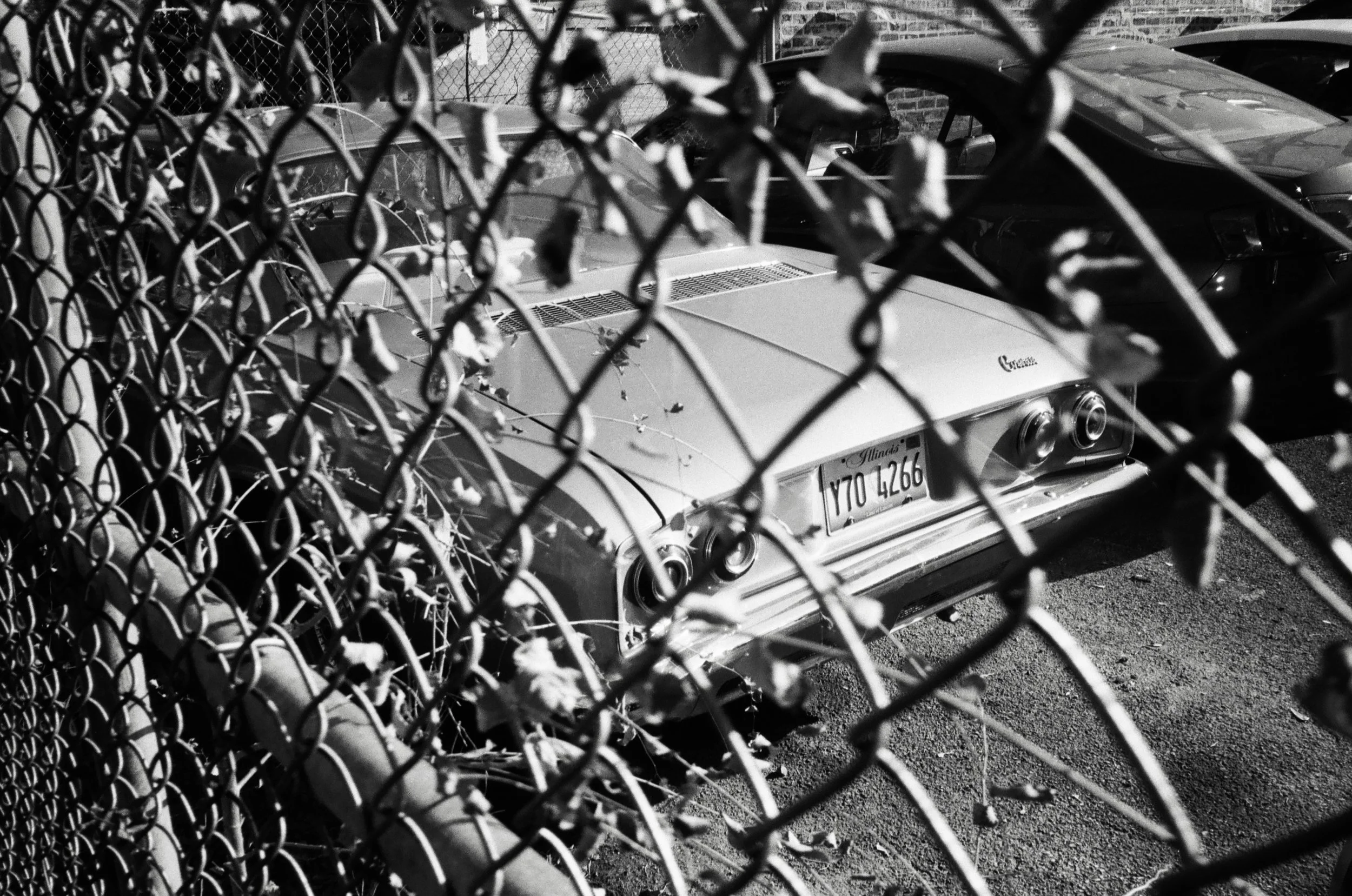 chicagoland favs edit - 116 of 190.jpeg