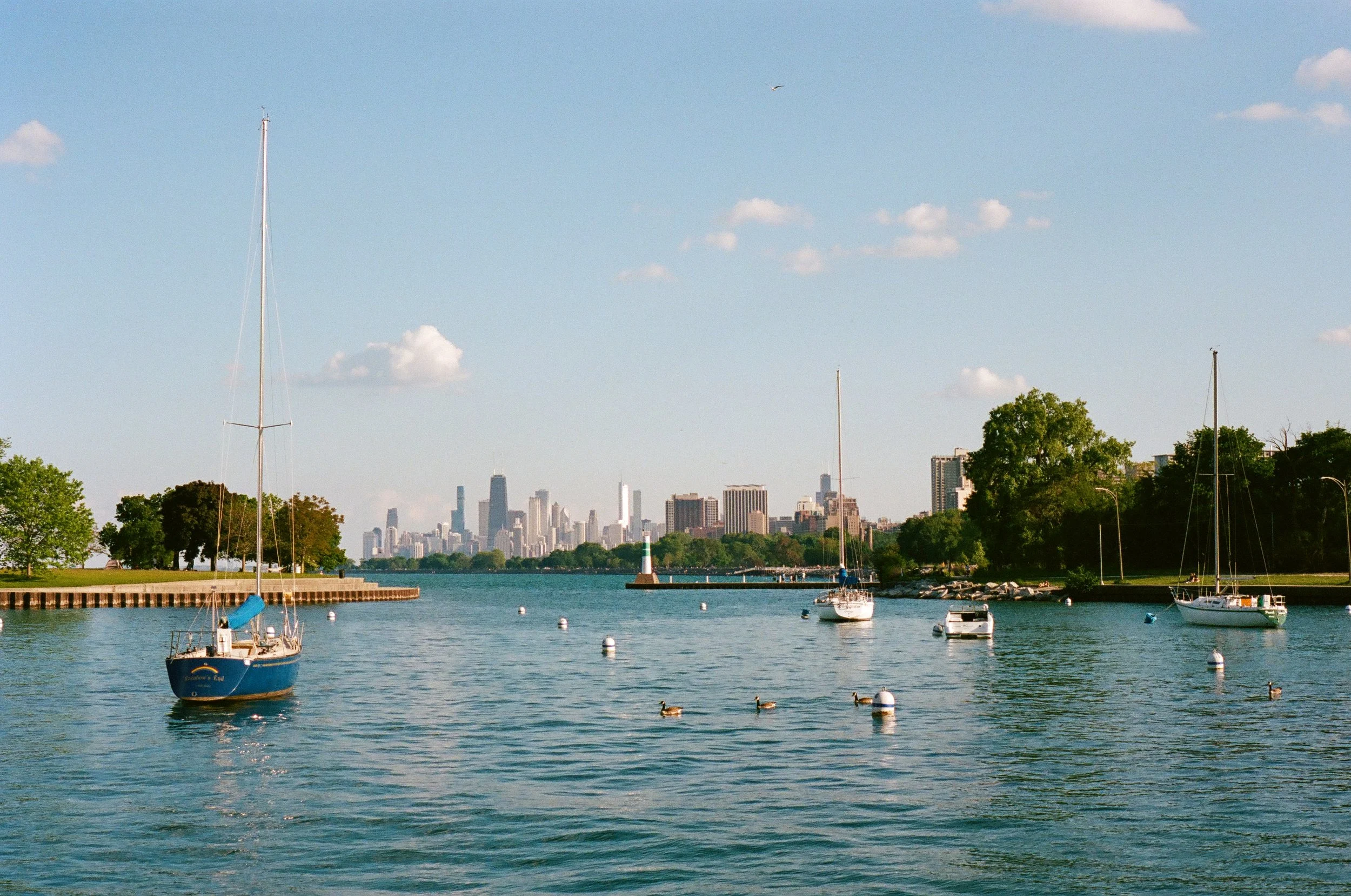 'chiago' portfolio - 32 of 35.jpeg