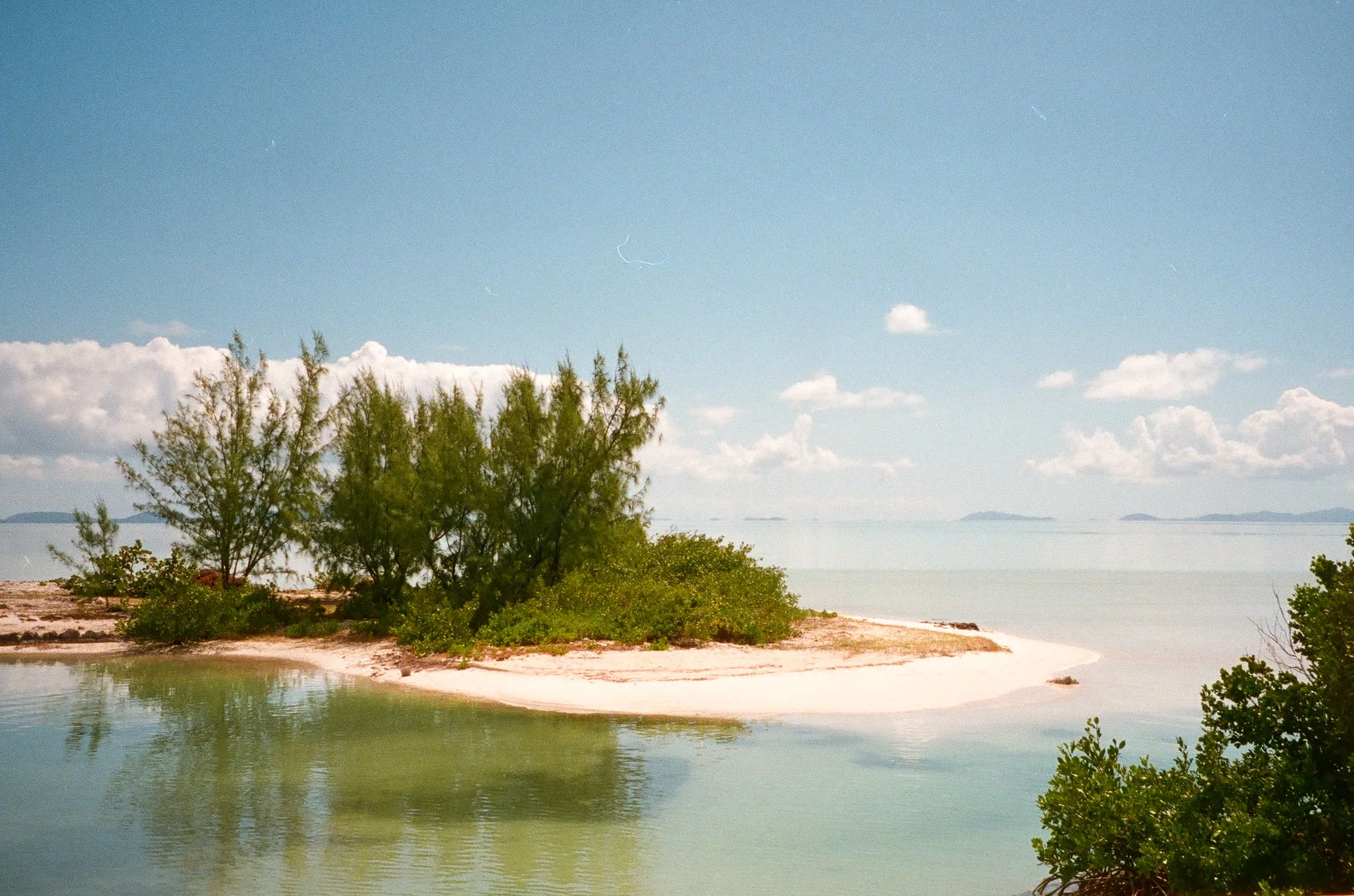 bvis portfolio - 44 of 76.jpeg