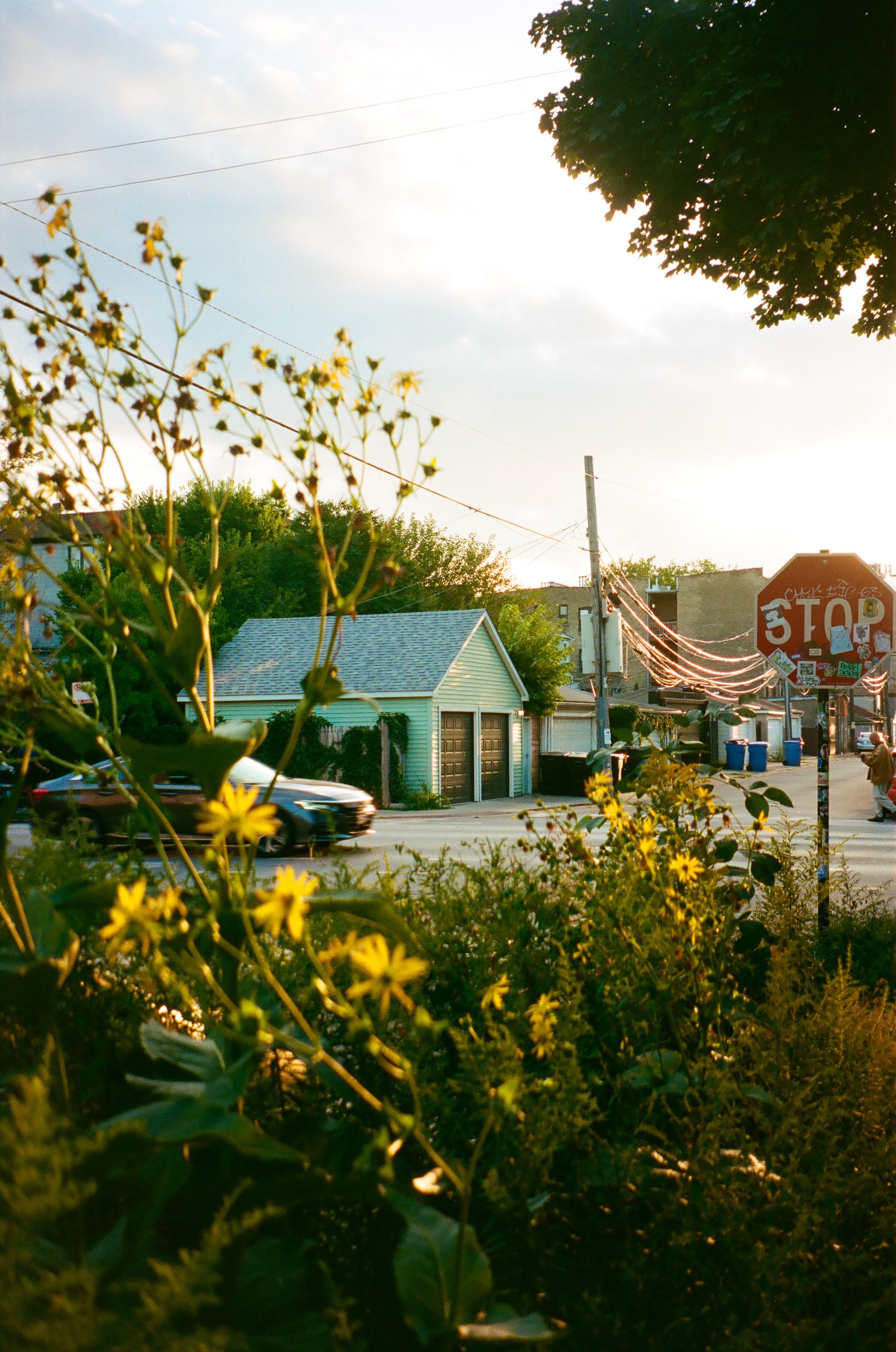 chicagoland favs edit - 109 of 190.jpeg