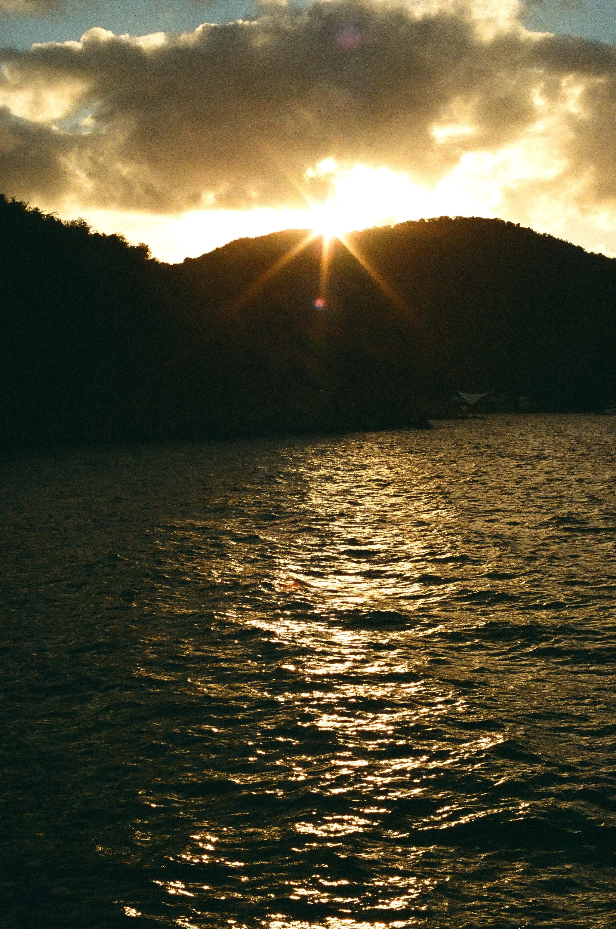 bvis portfolio - 37 of 76.jpeg