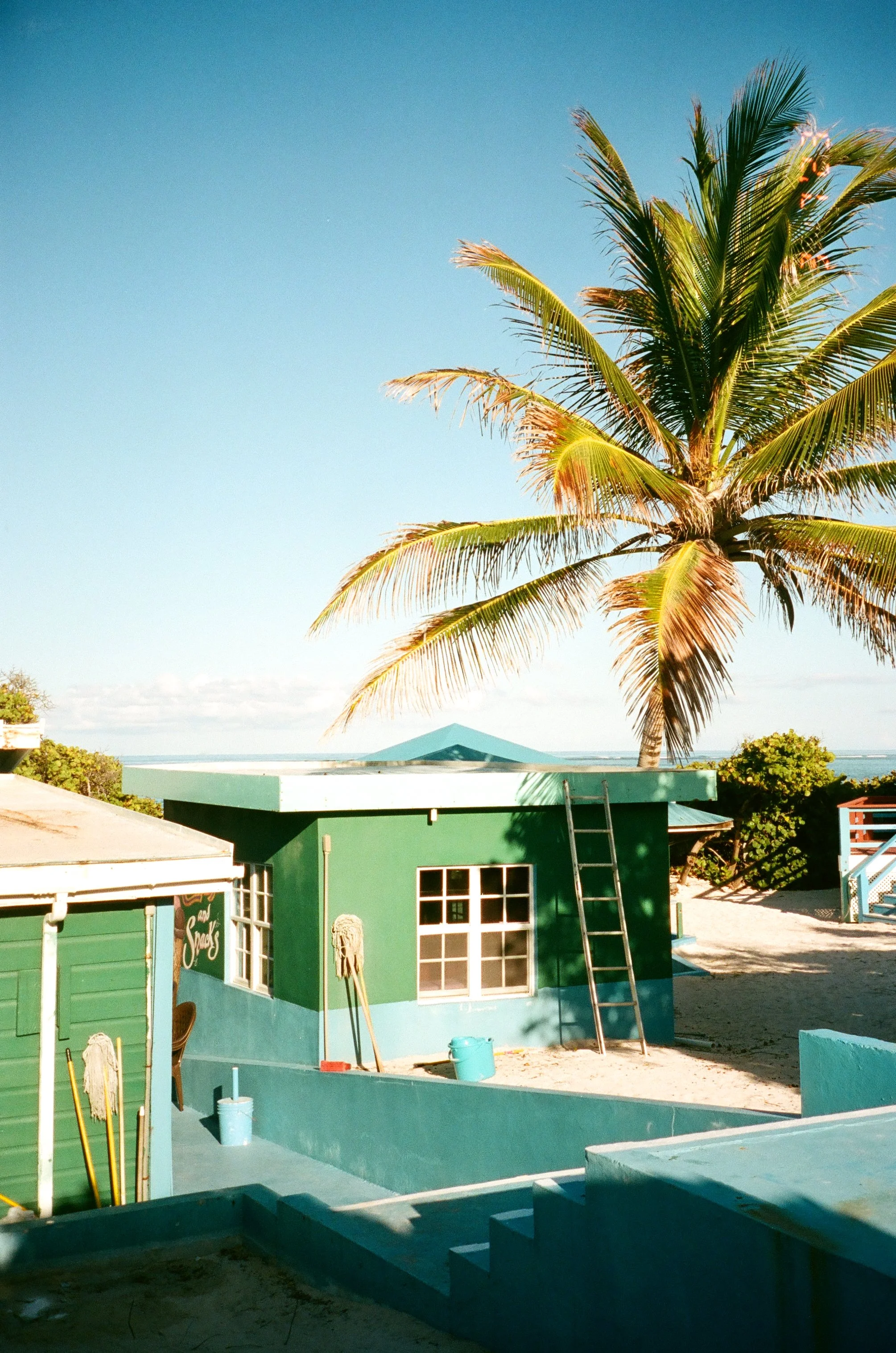 bvis portfolio - 39 of 76.jpeg