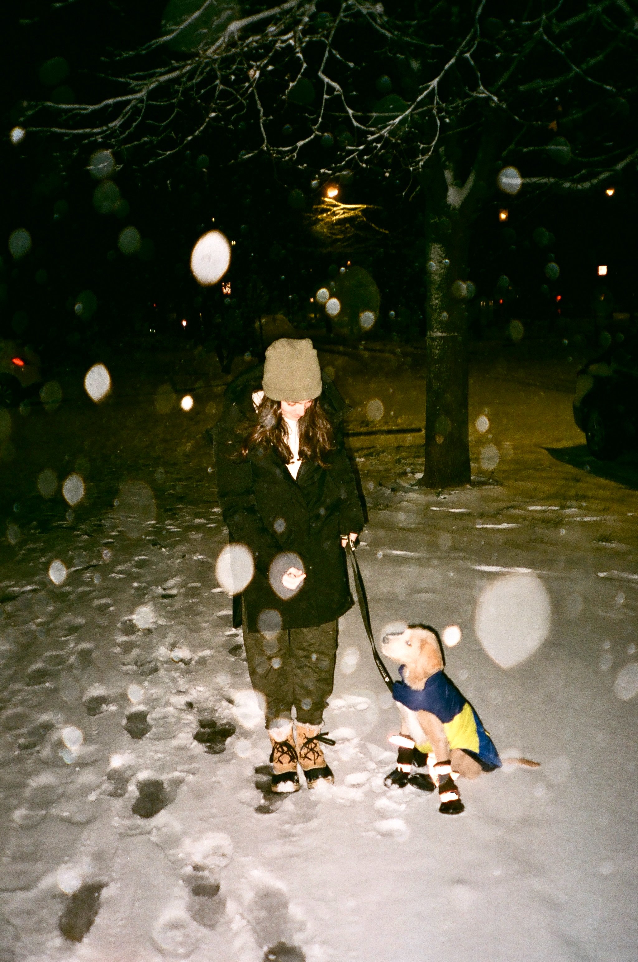 Kaitlin & Louie - Logan Square, Chicago