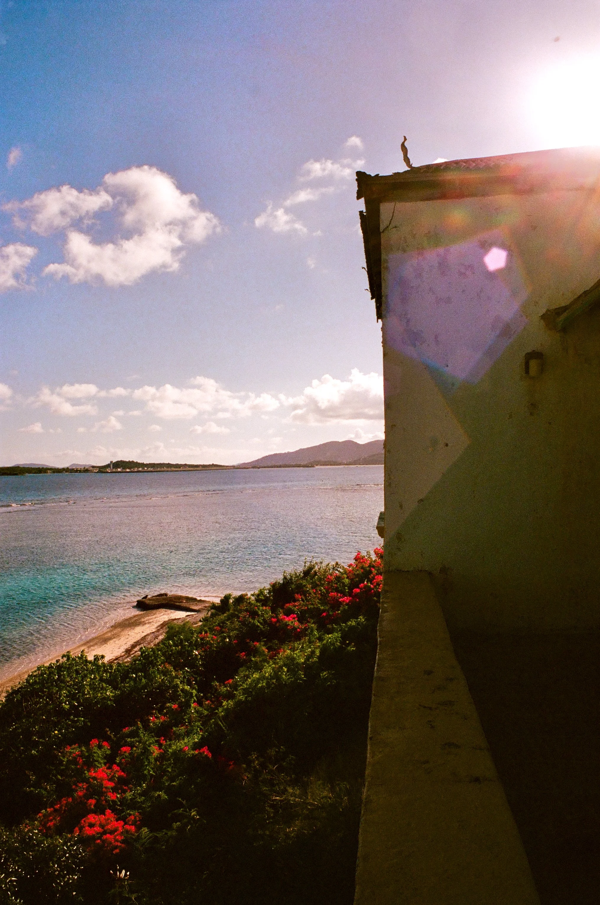 bvis portfolio - 66 of 76.jpeg