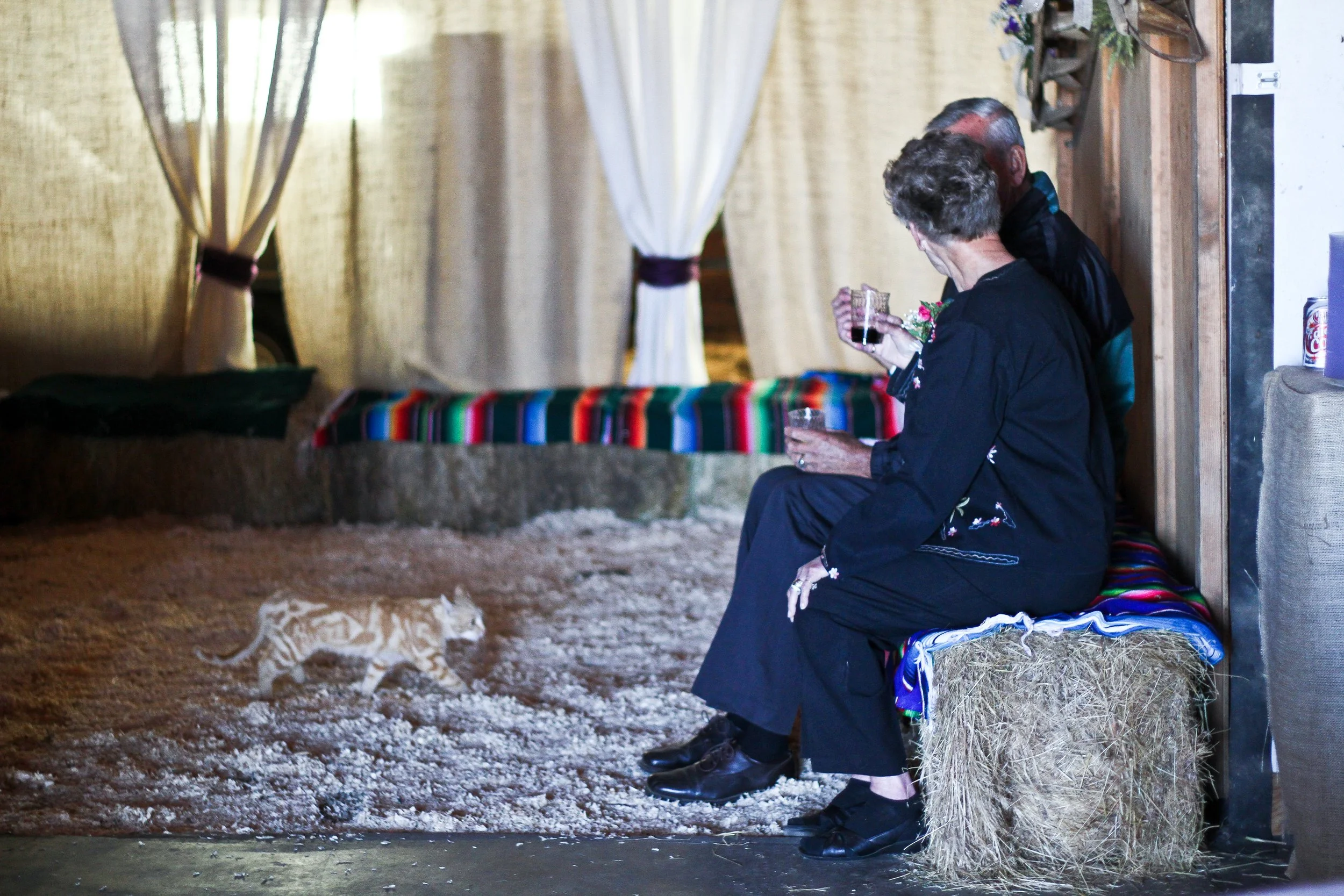 wedding-254.jpg