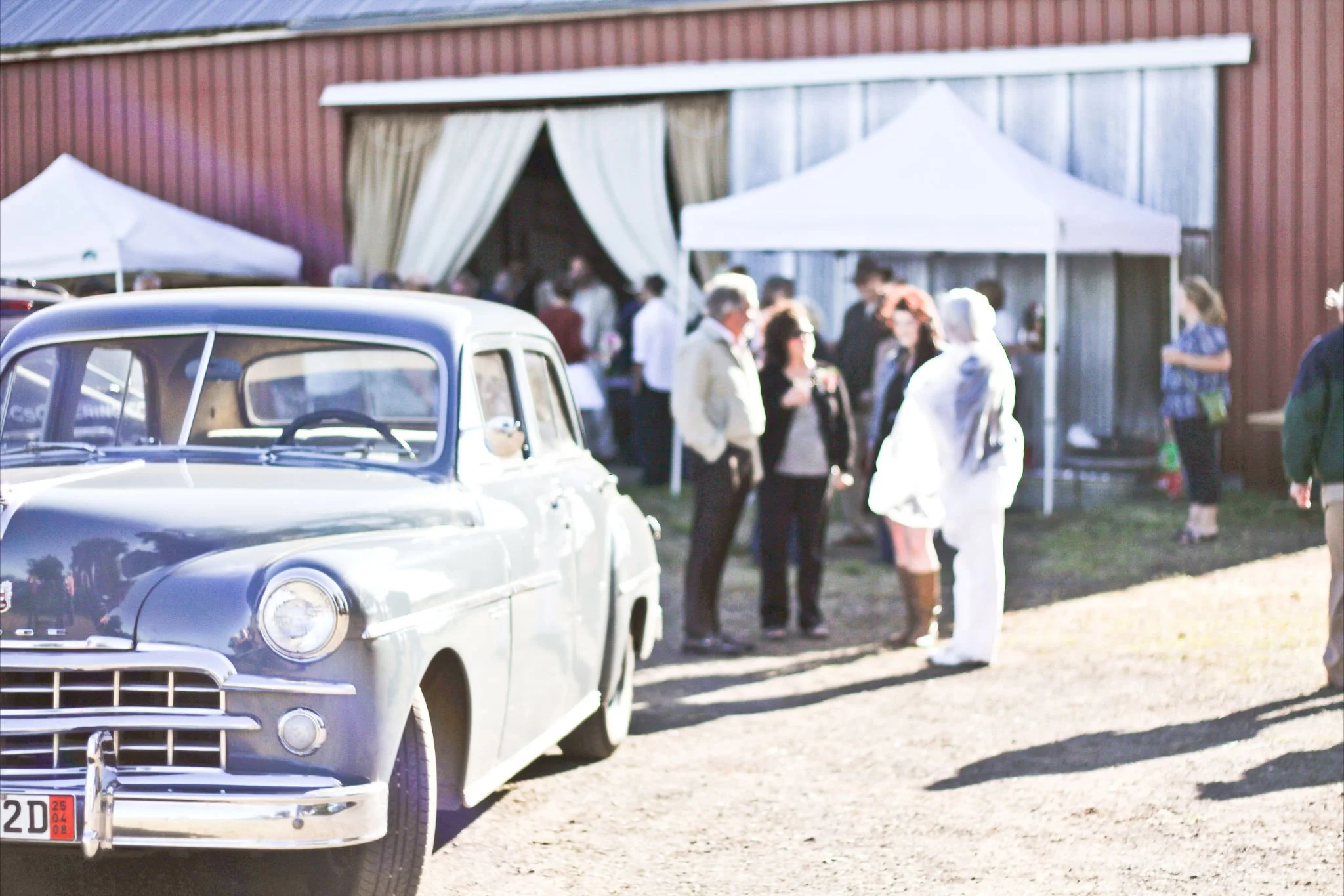 wedding-243.jpg