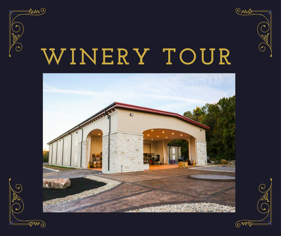 Winery Tour