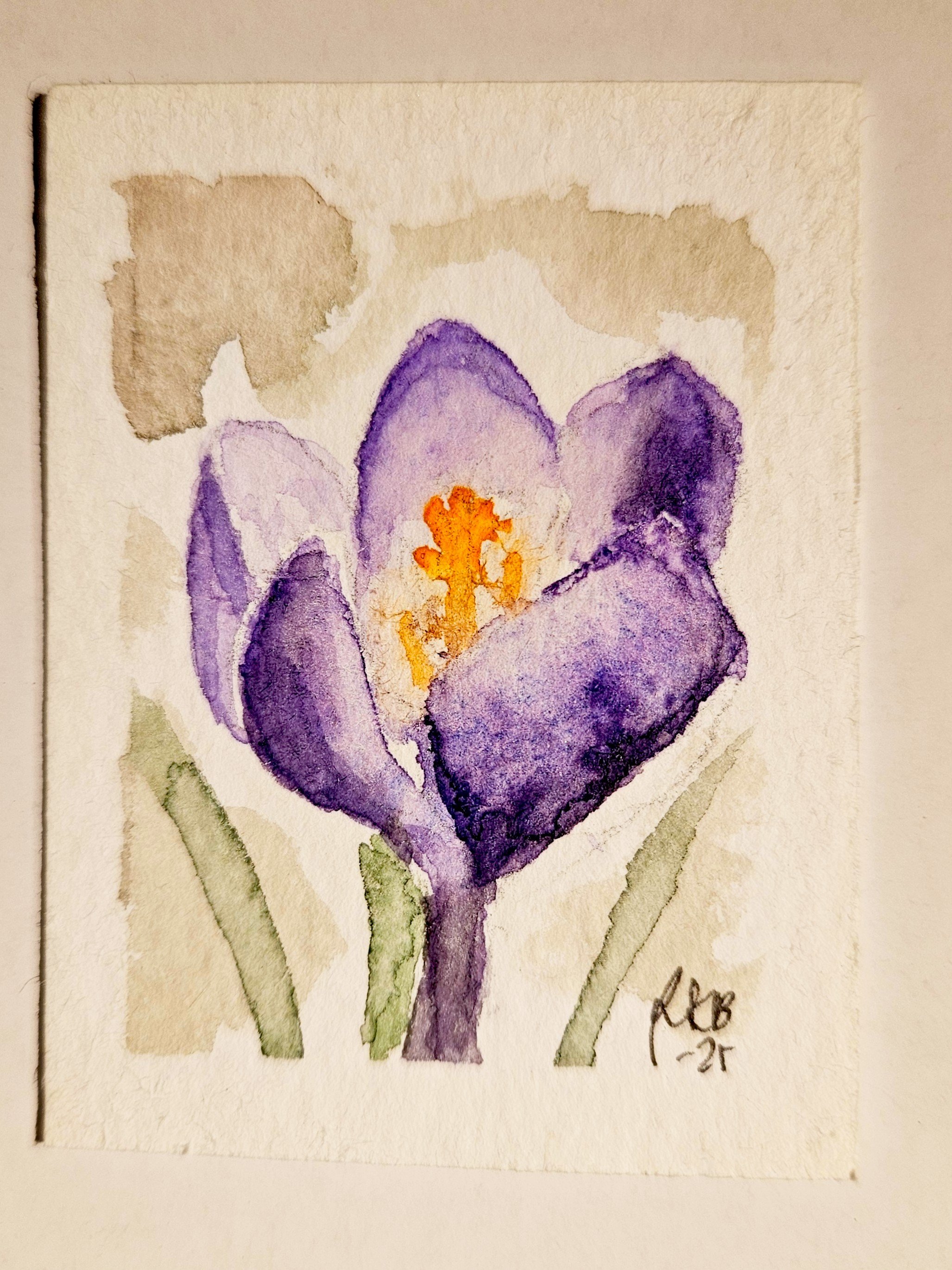 "Krokus"  5 x 6,5cm
(live sketch) 
aquarell on paper
#100tinyreasures No.3