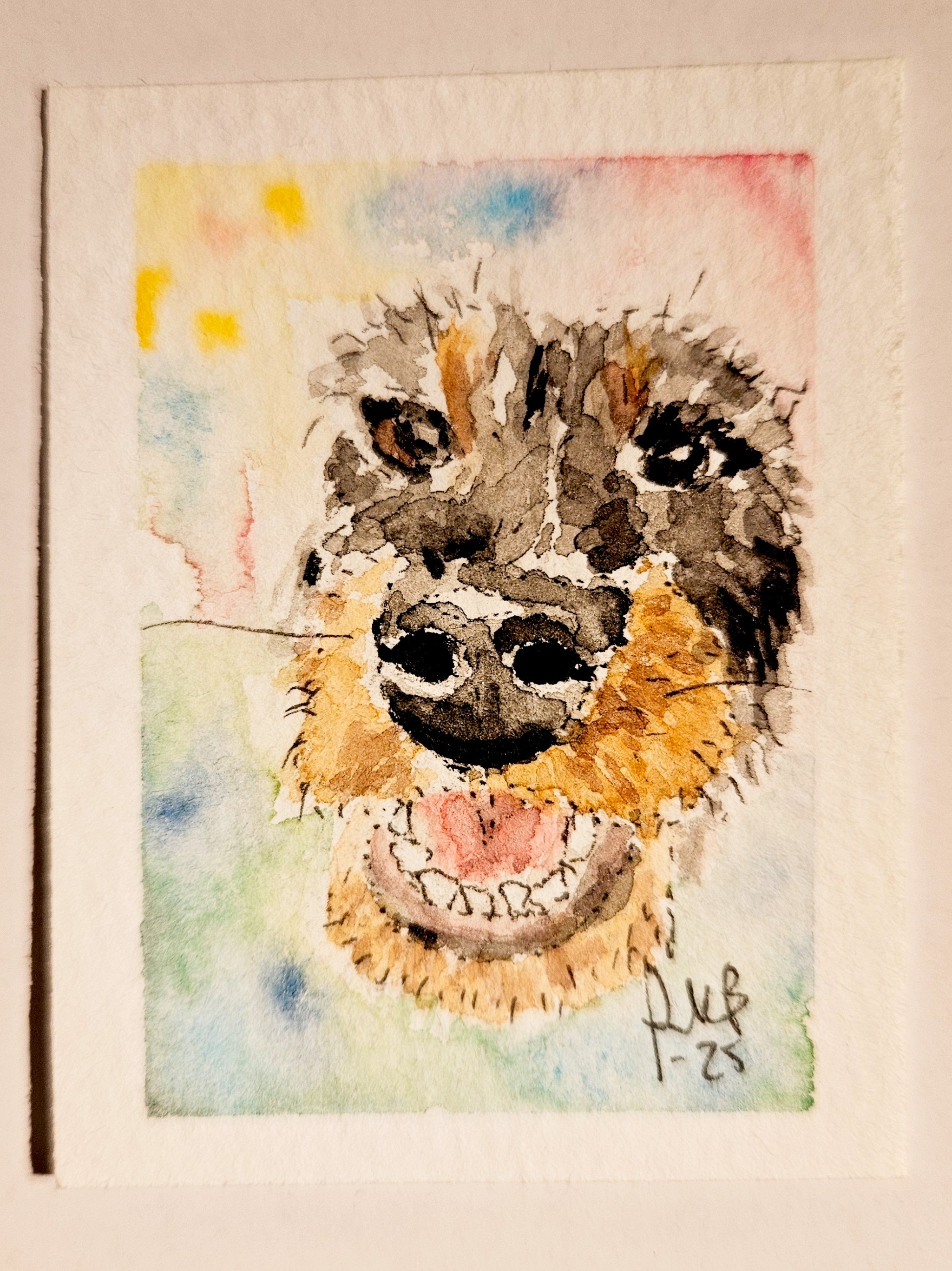 "Schufti"  5 x 6,5cm
(original from a photo) 
aquarell on paper
#100tinyreasures